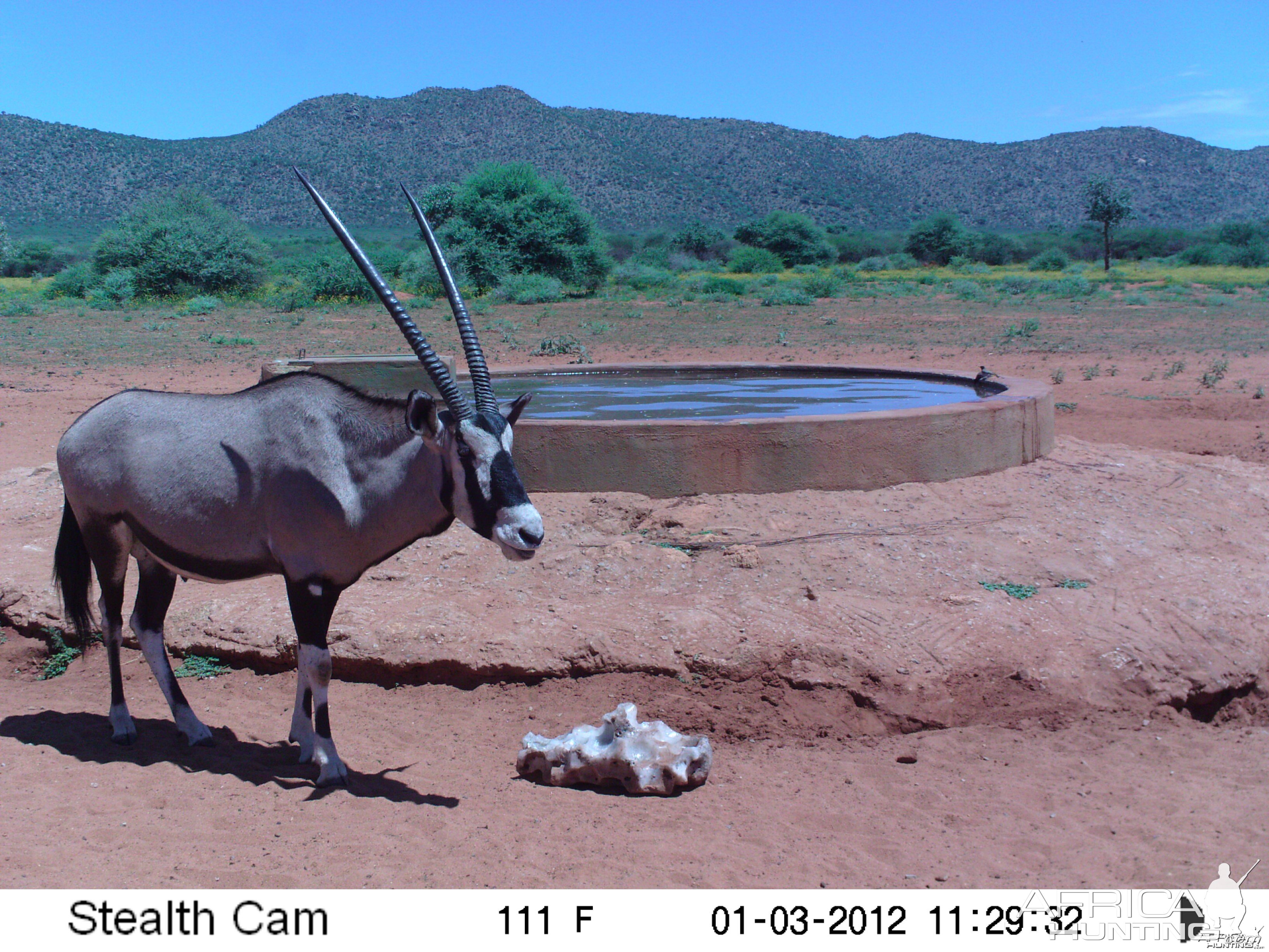 Trail Camera Namibia