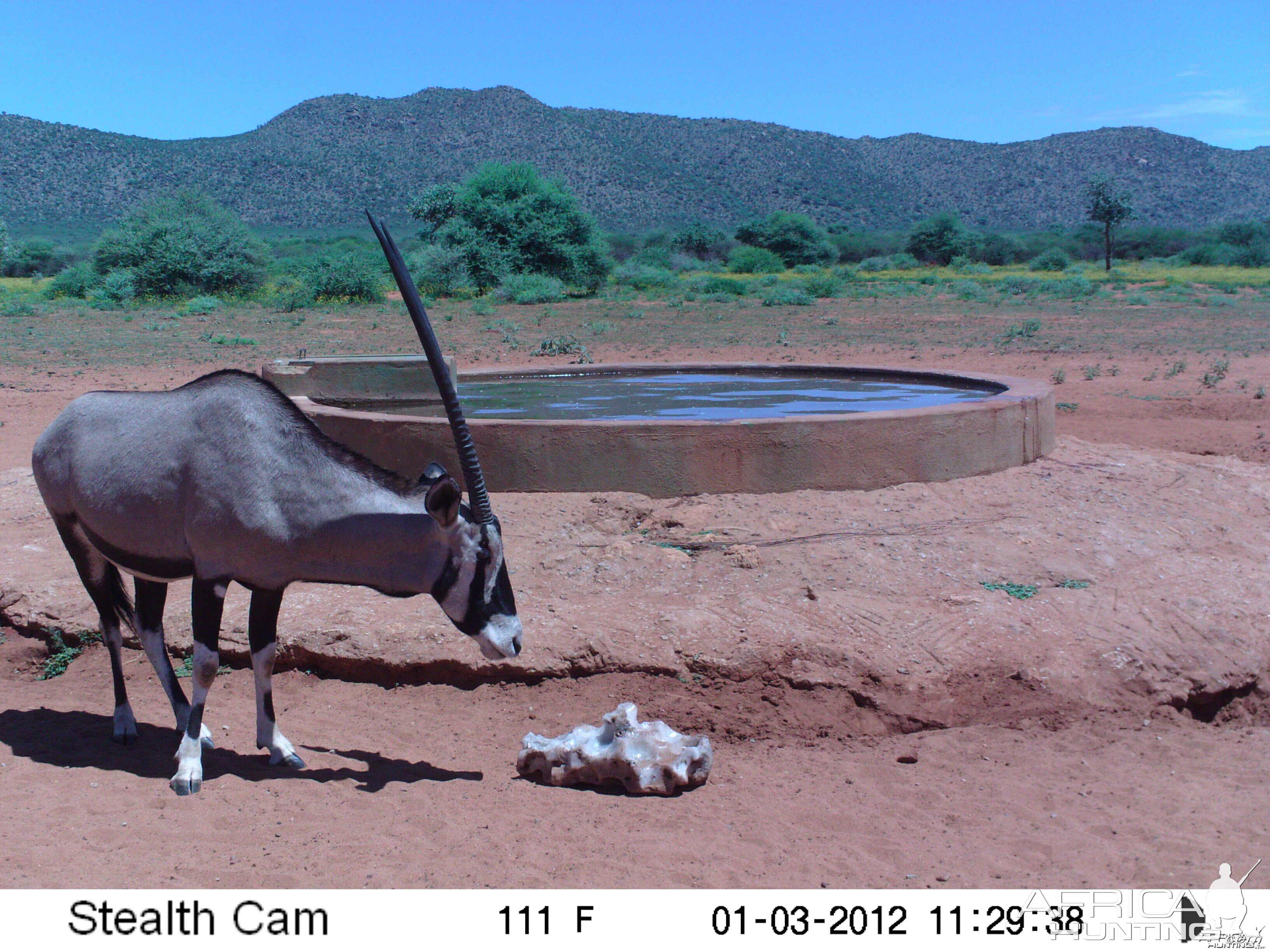 Trail Camera Namibia