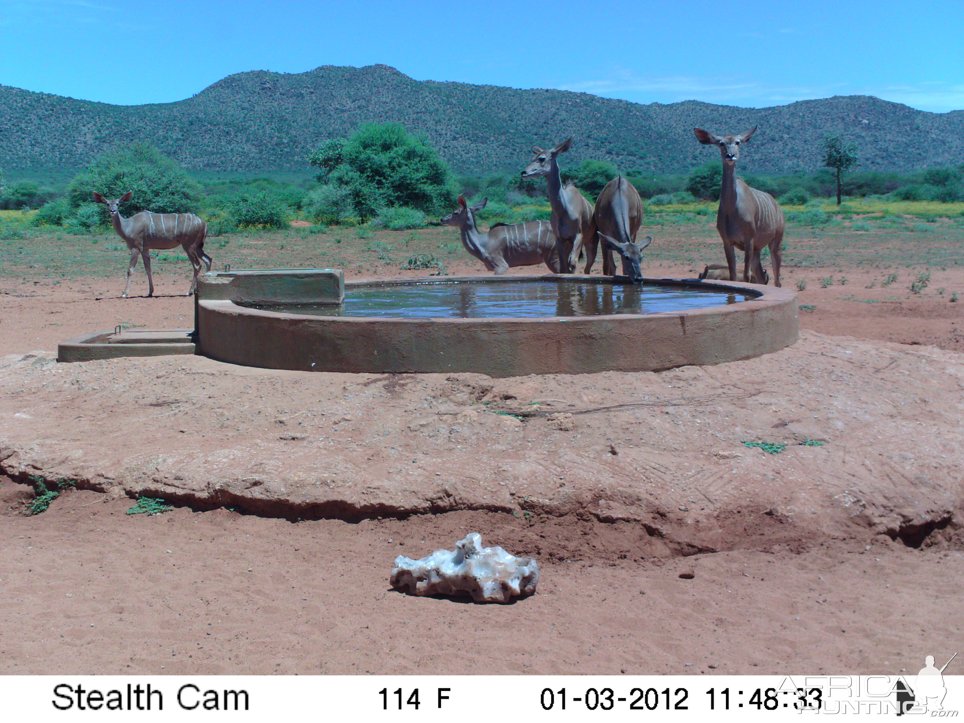 Trail Camera Namibia