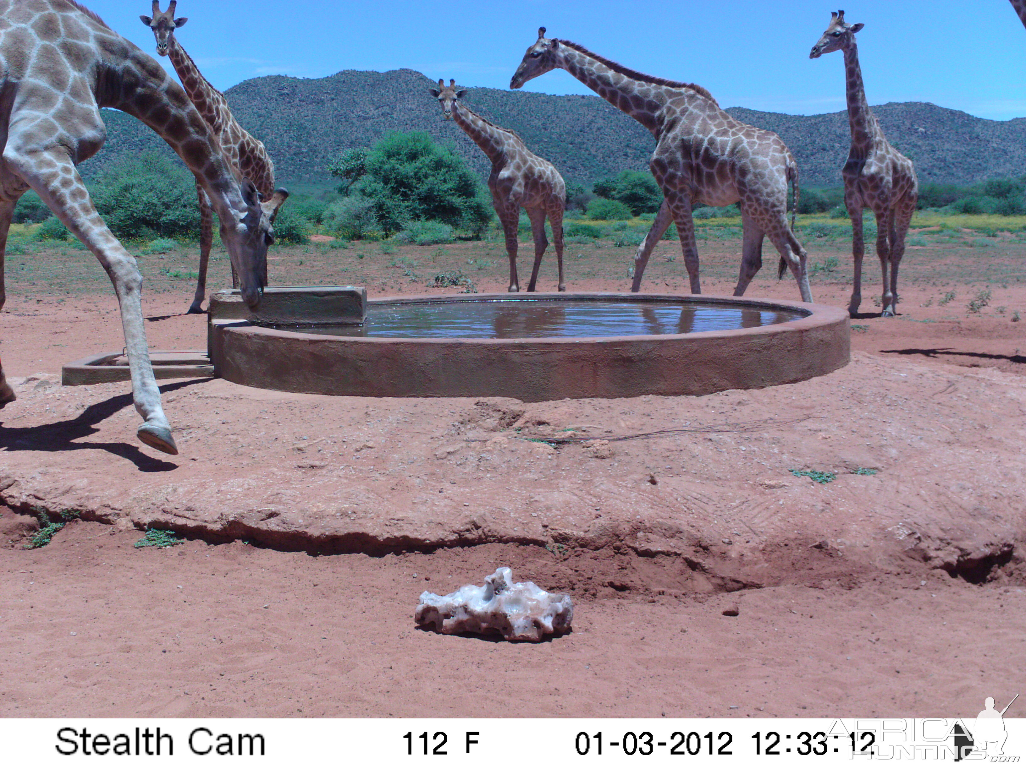 Trail Camera Namibia