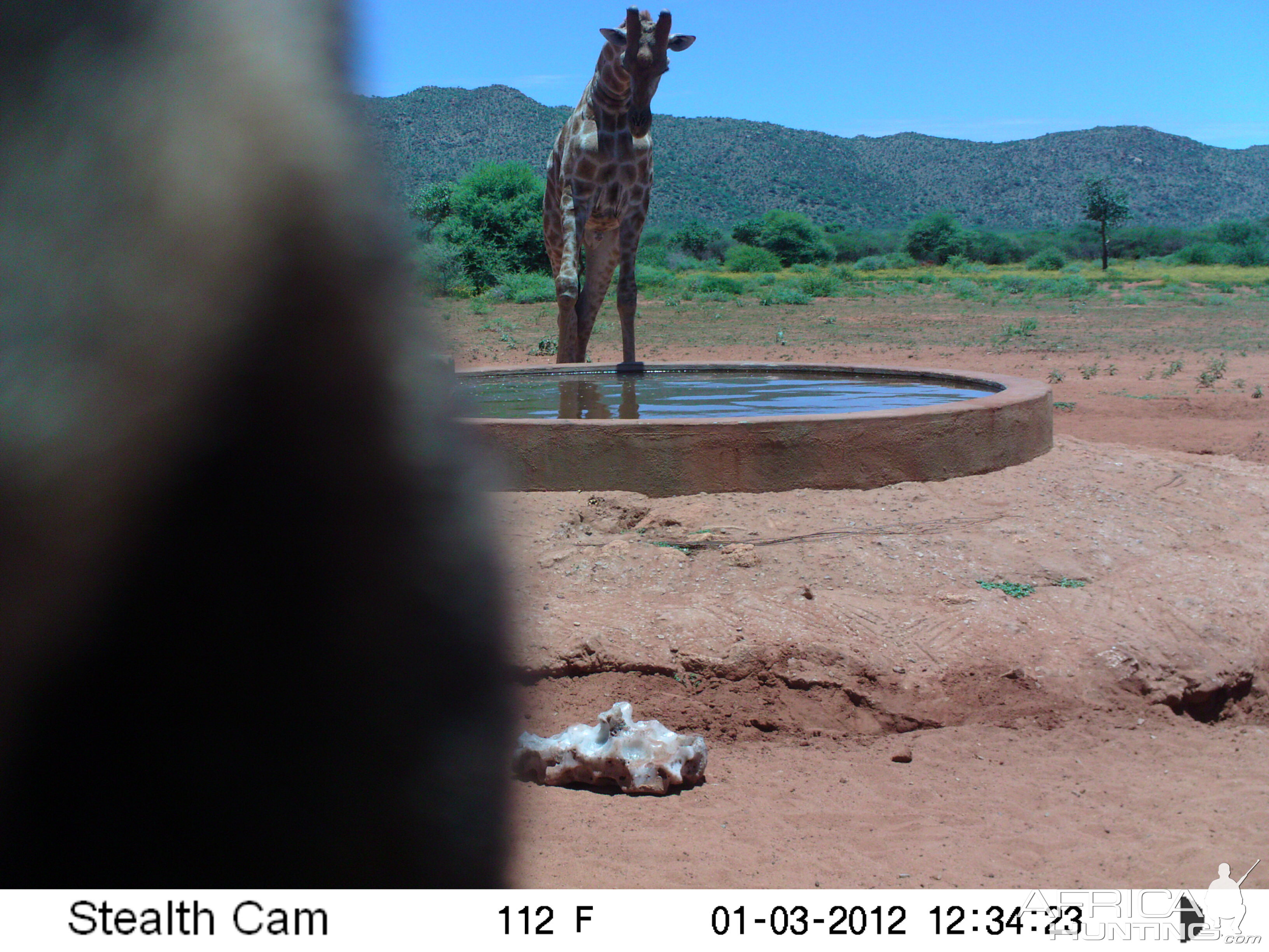 Trail Camera Namibia