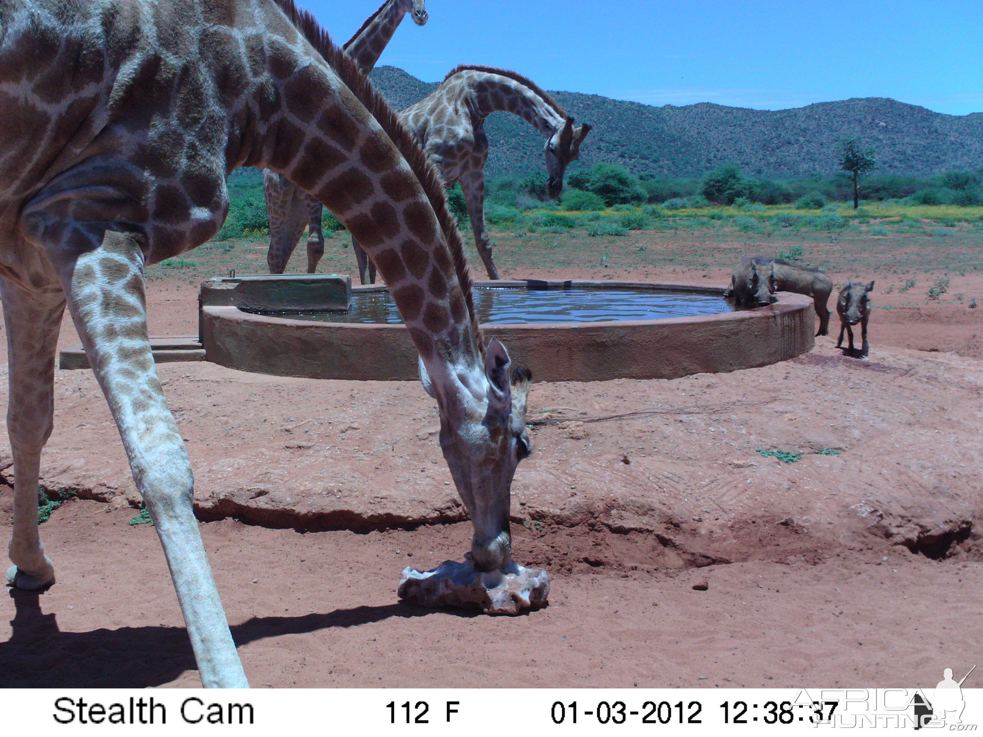 Trail Camera Namibia