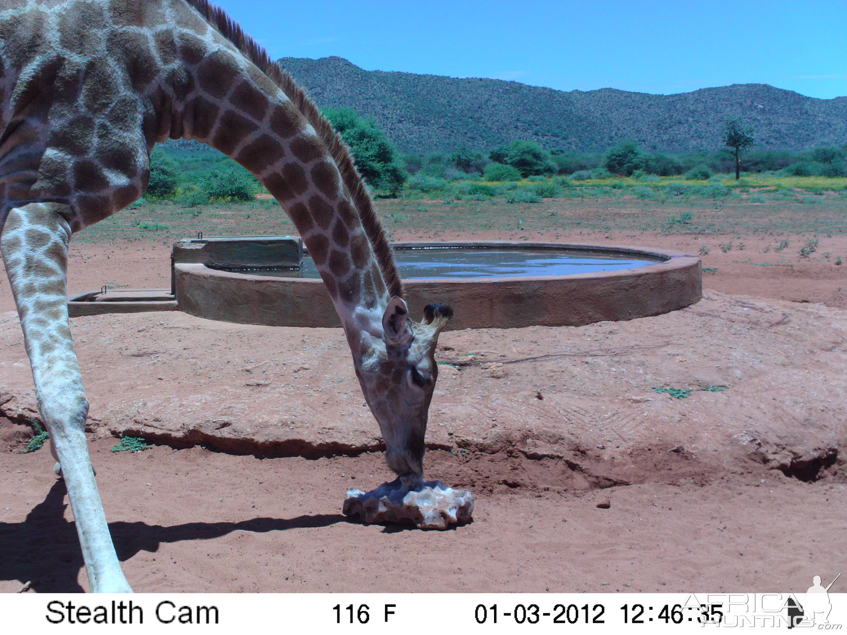 Trail Camera Namibia