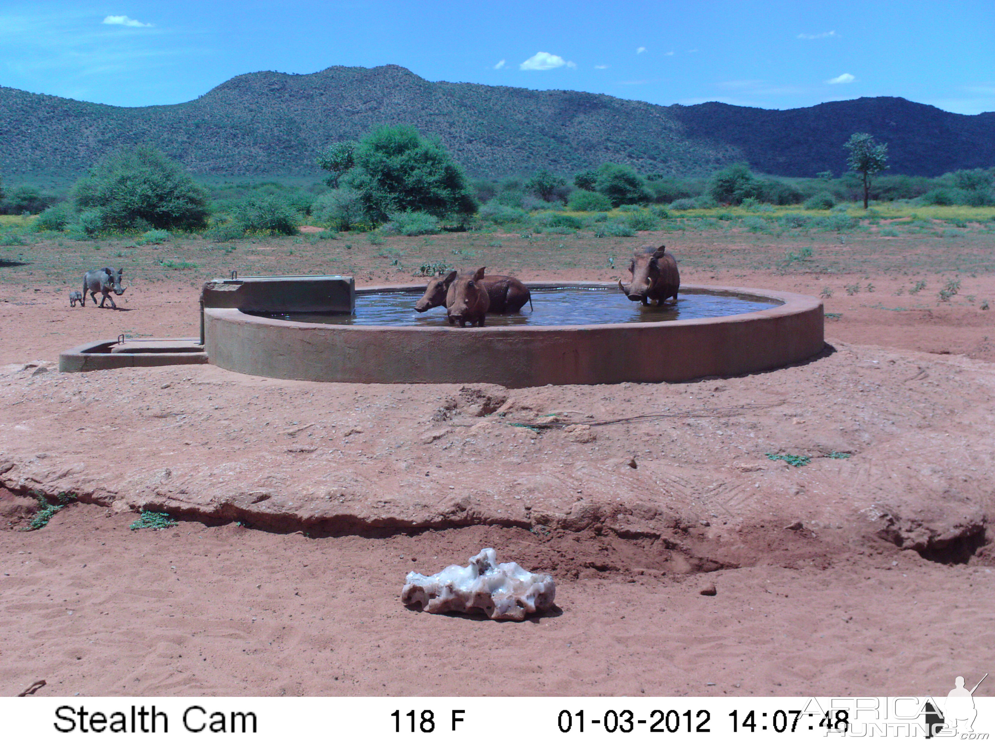 Trail Camera Namibia