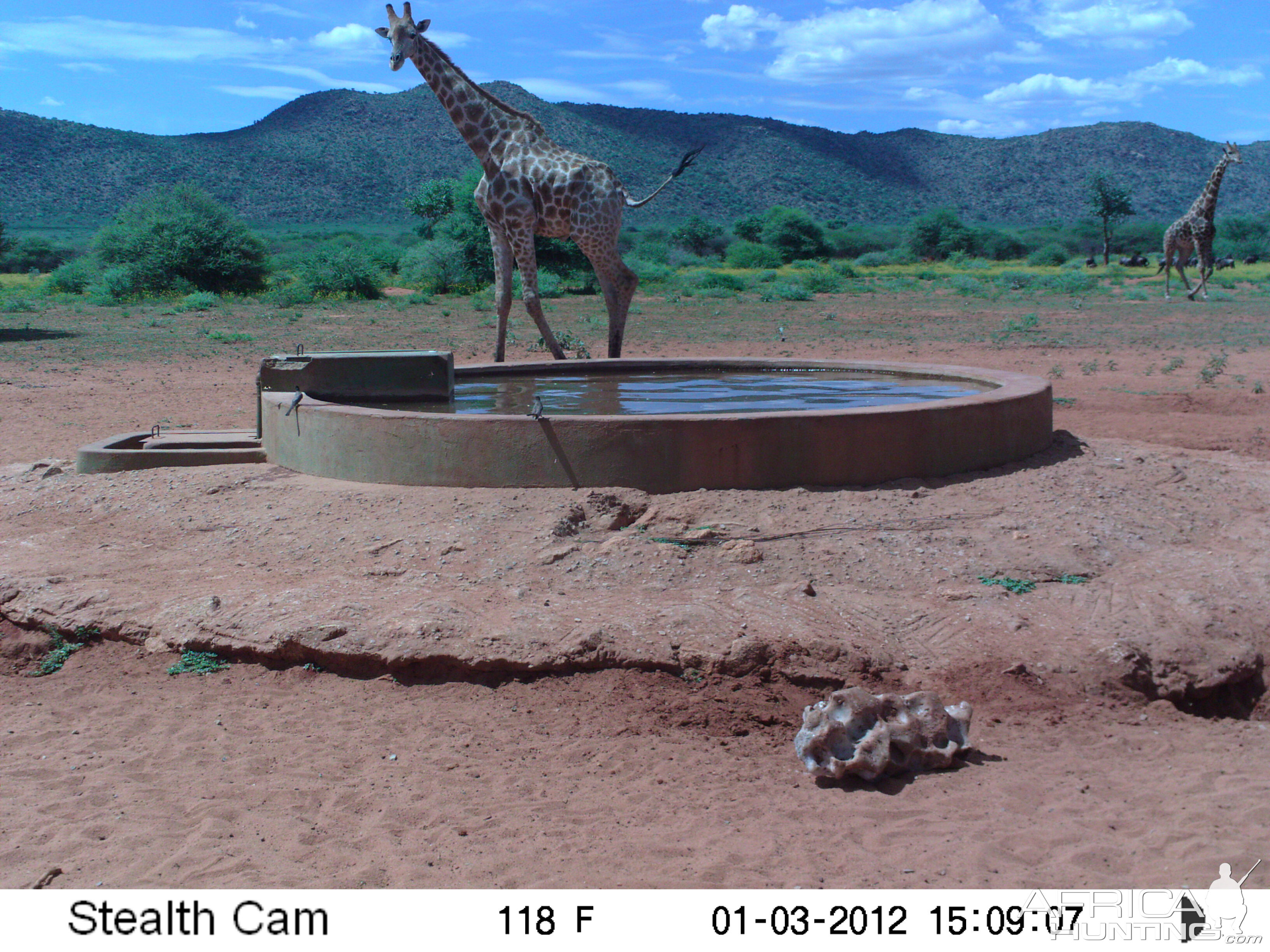 Trail Camera Namibia