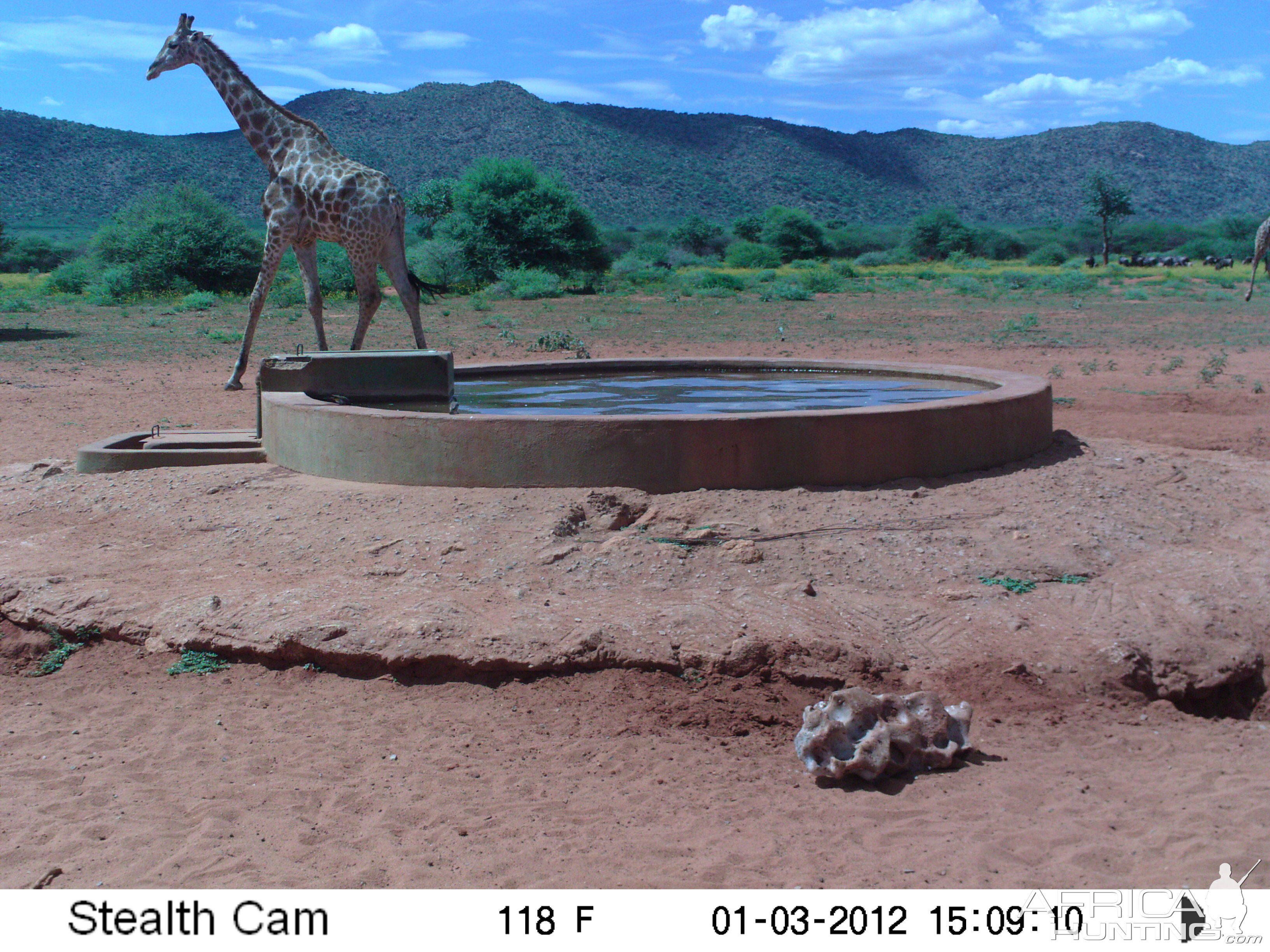 Trail Camera Namibia