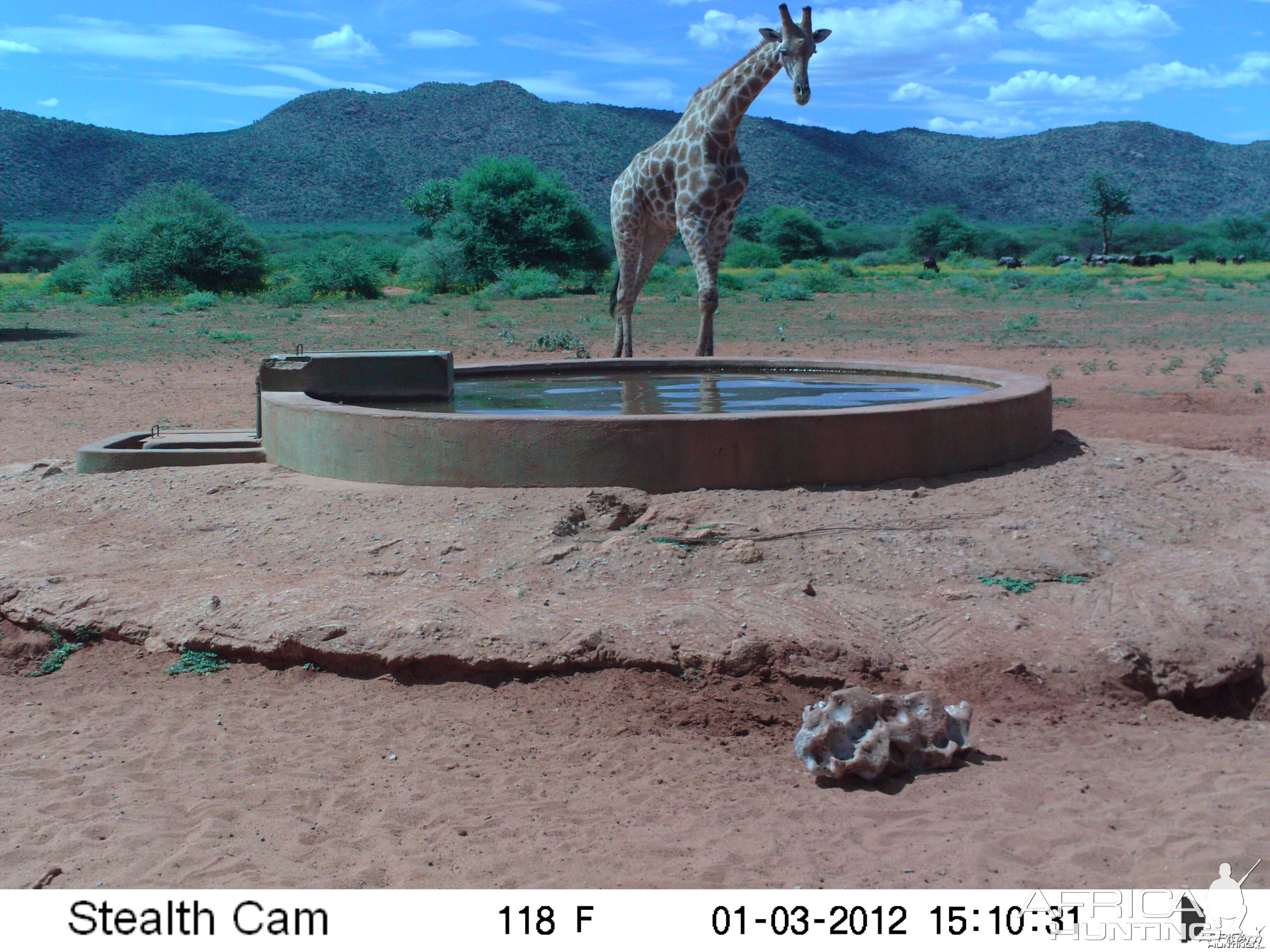 Trail Camera Namibia