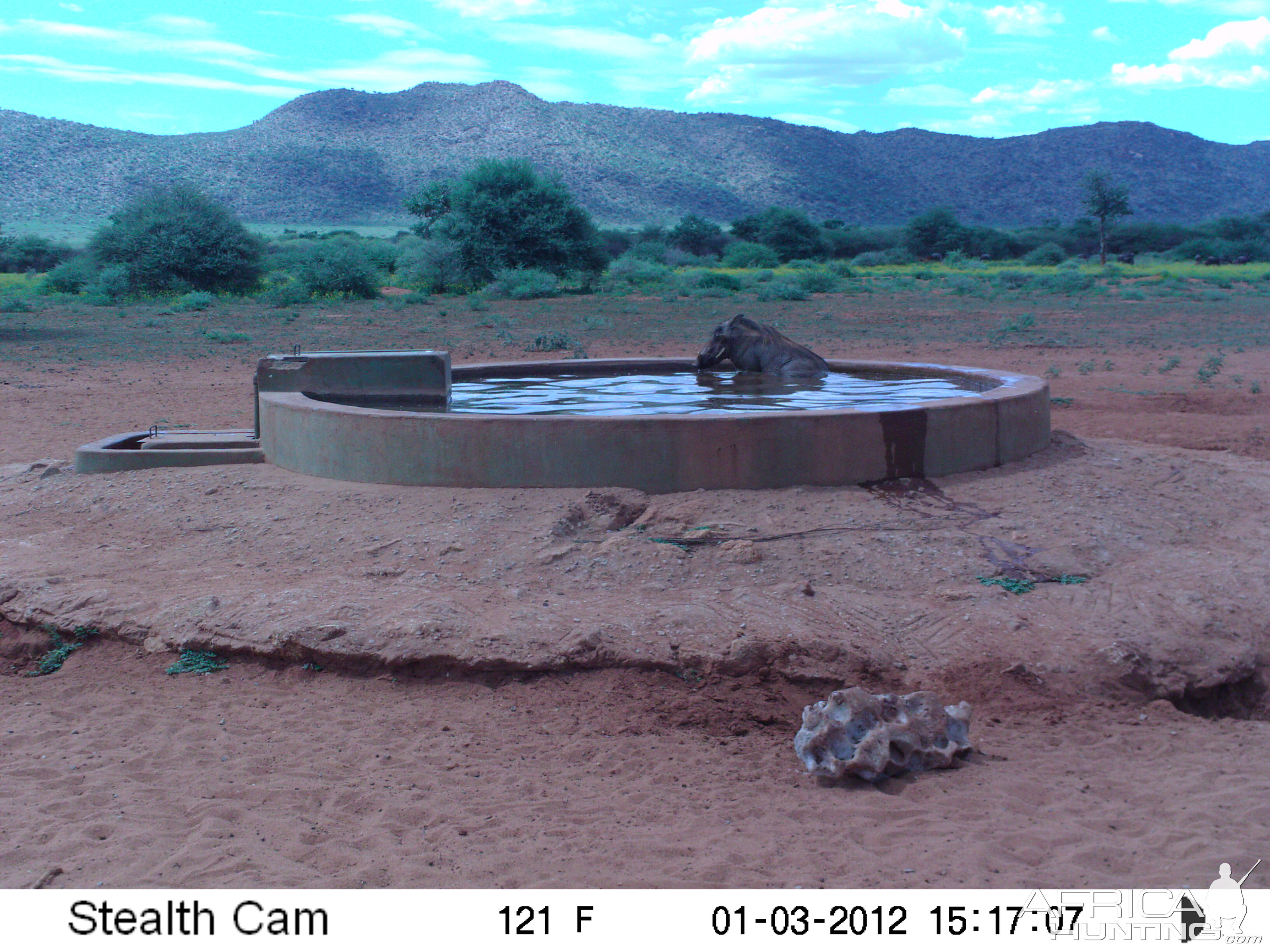 Trail Camera Namibia