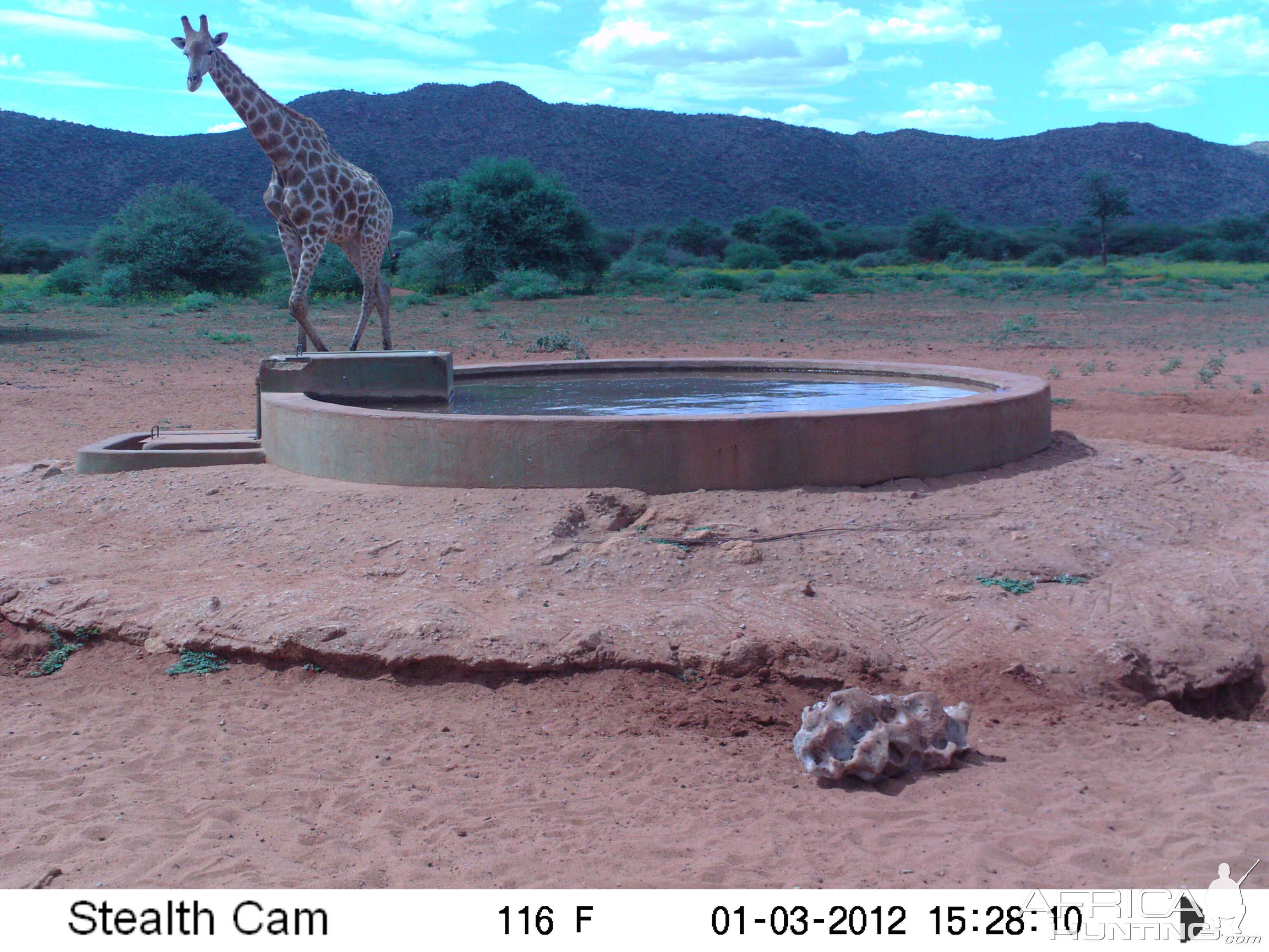 Trail Camera Namibia