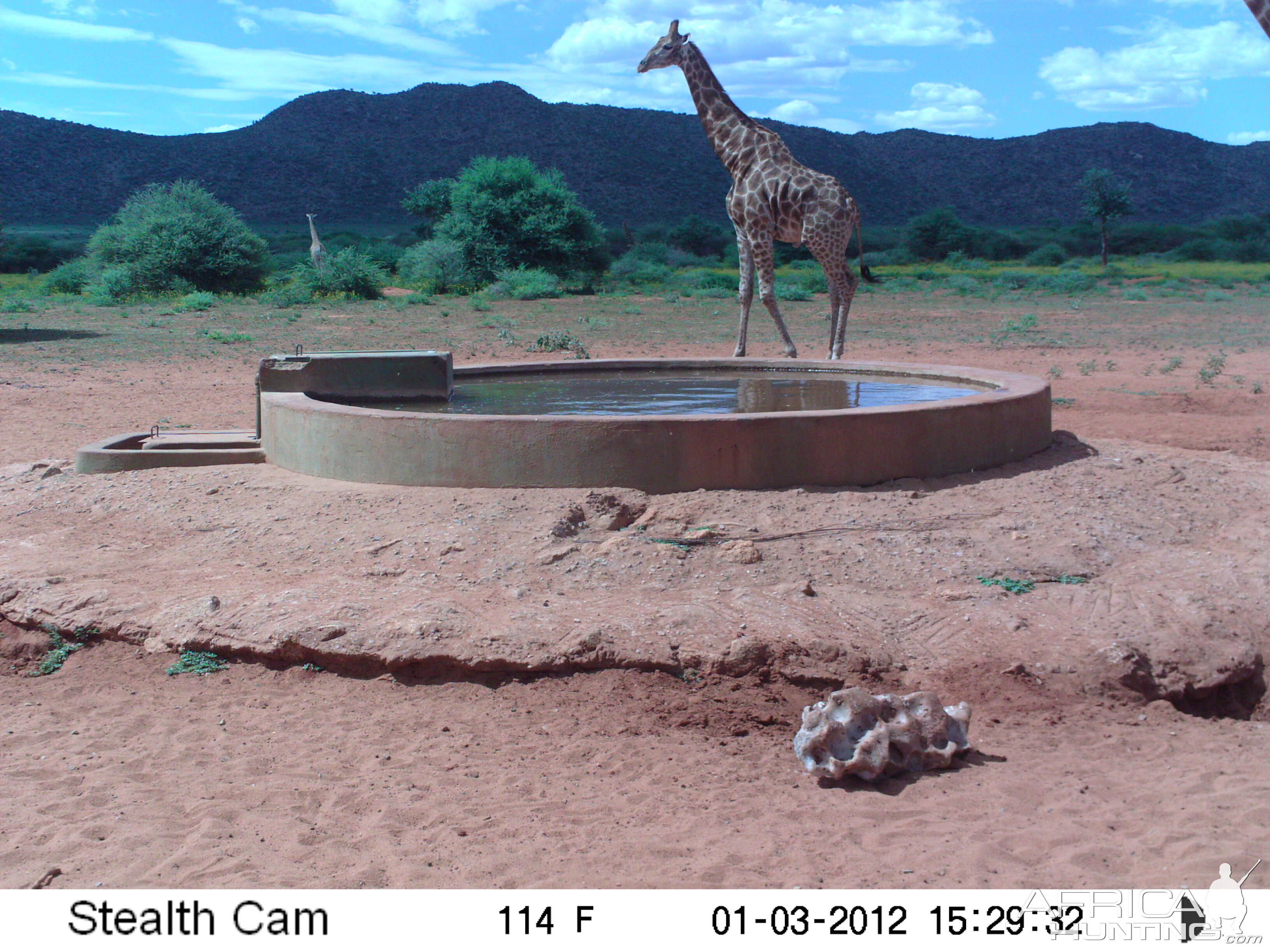 Trail Camera Namibia