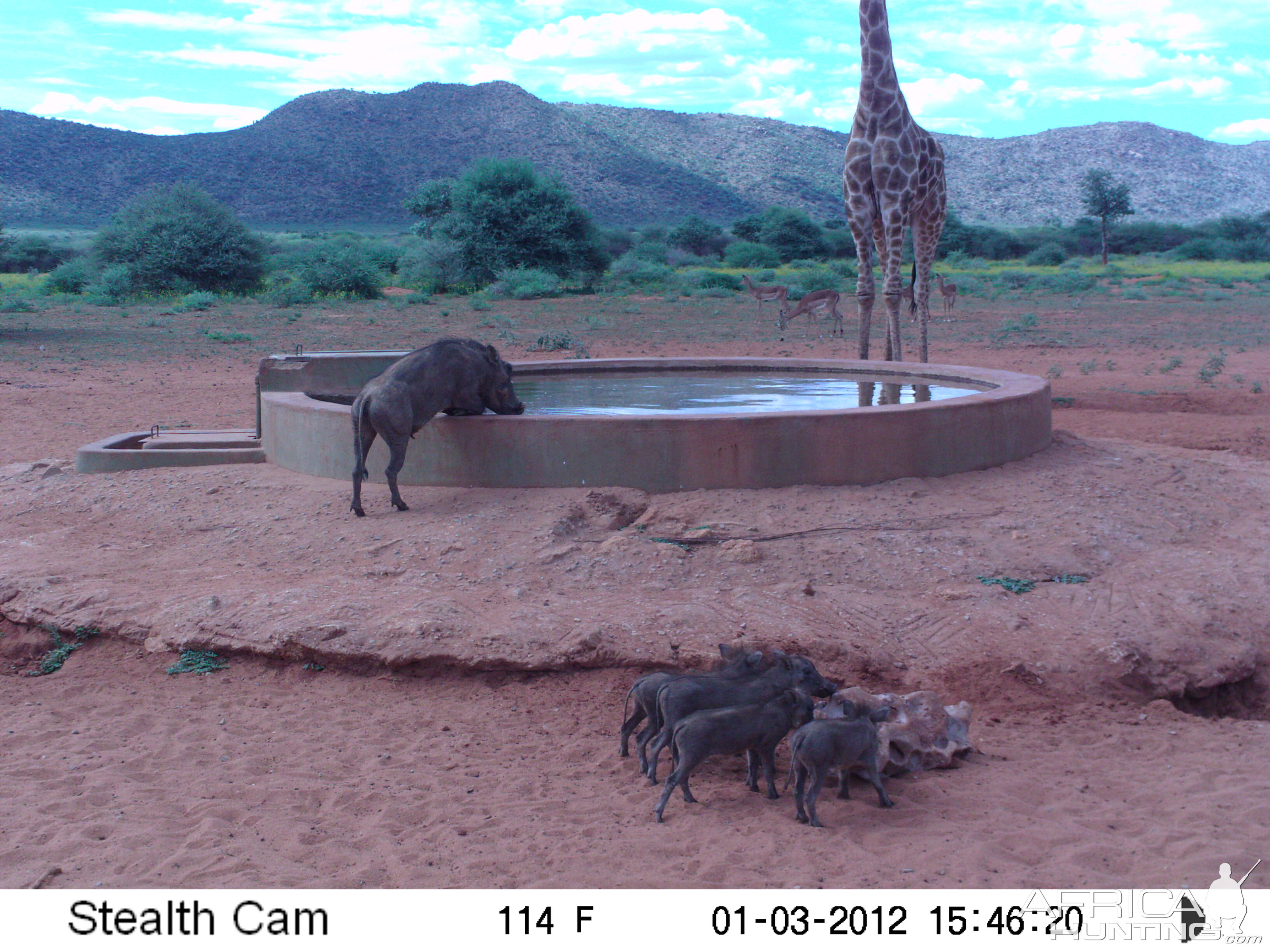 Trail Camera Namibia