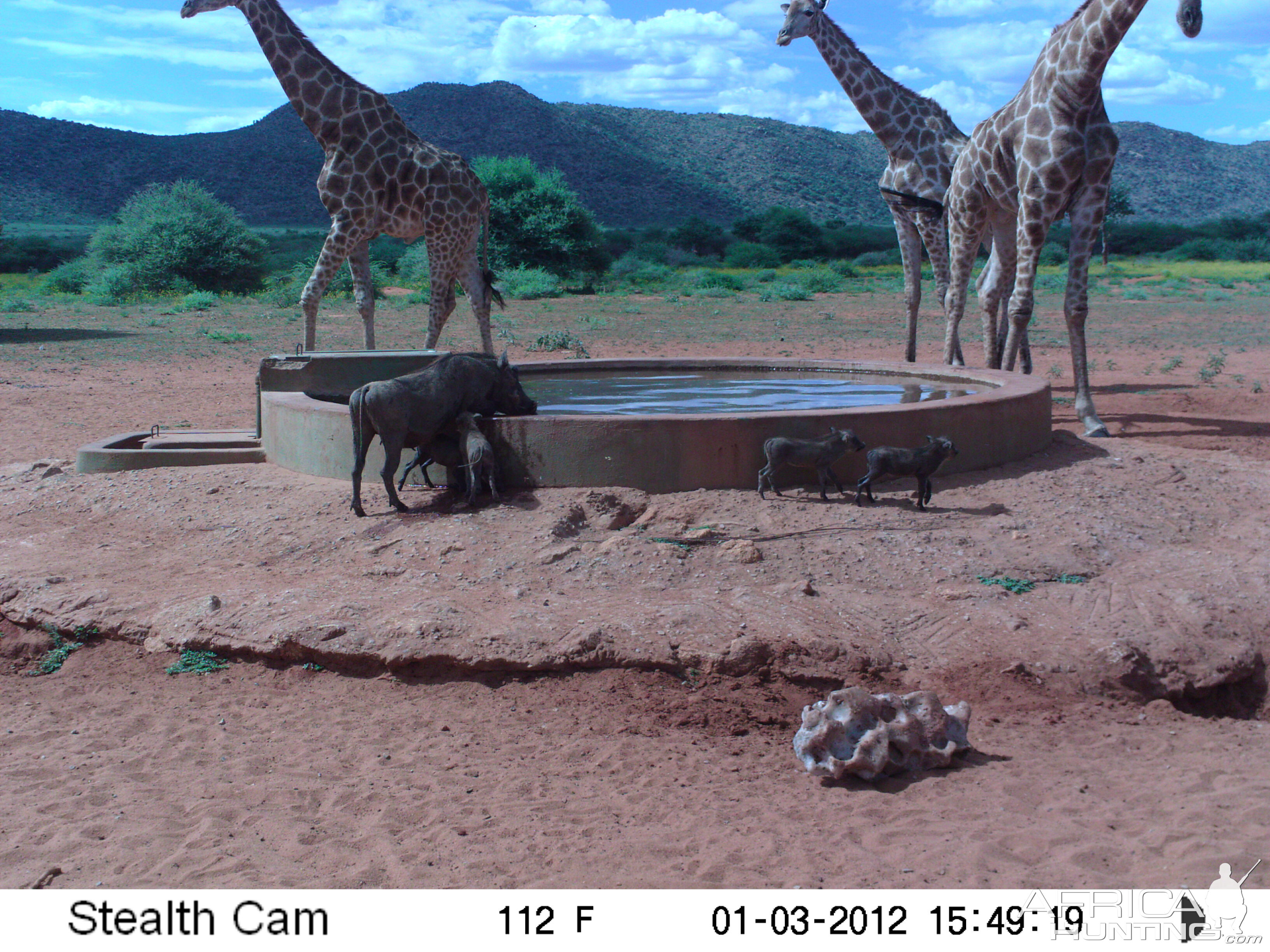 Trail Camera Namibia