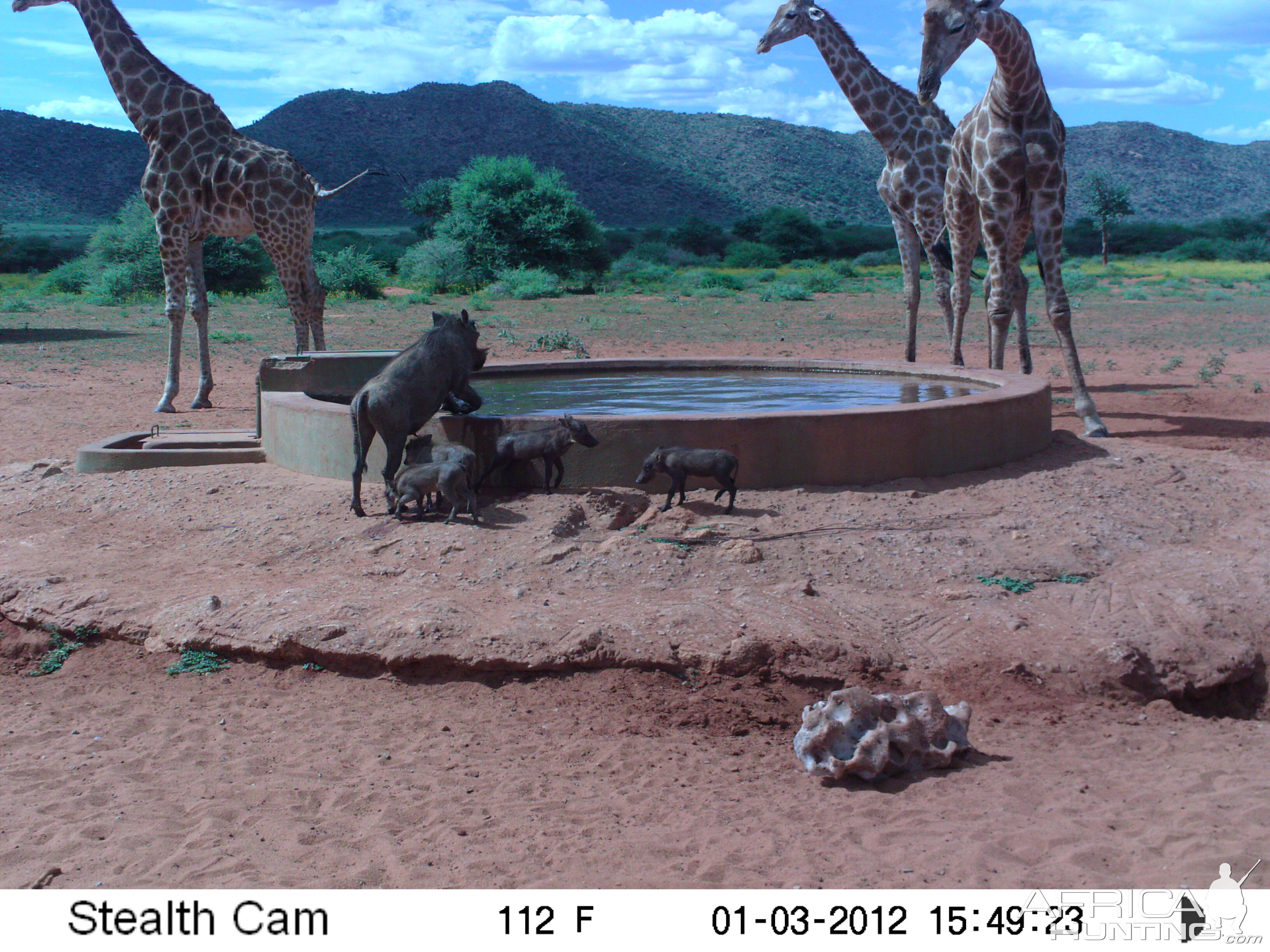 Trail Camera Namibia