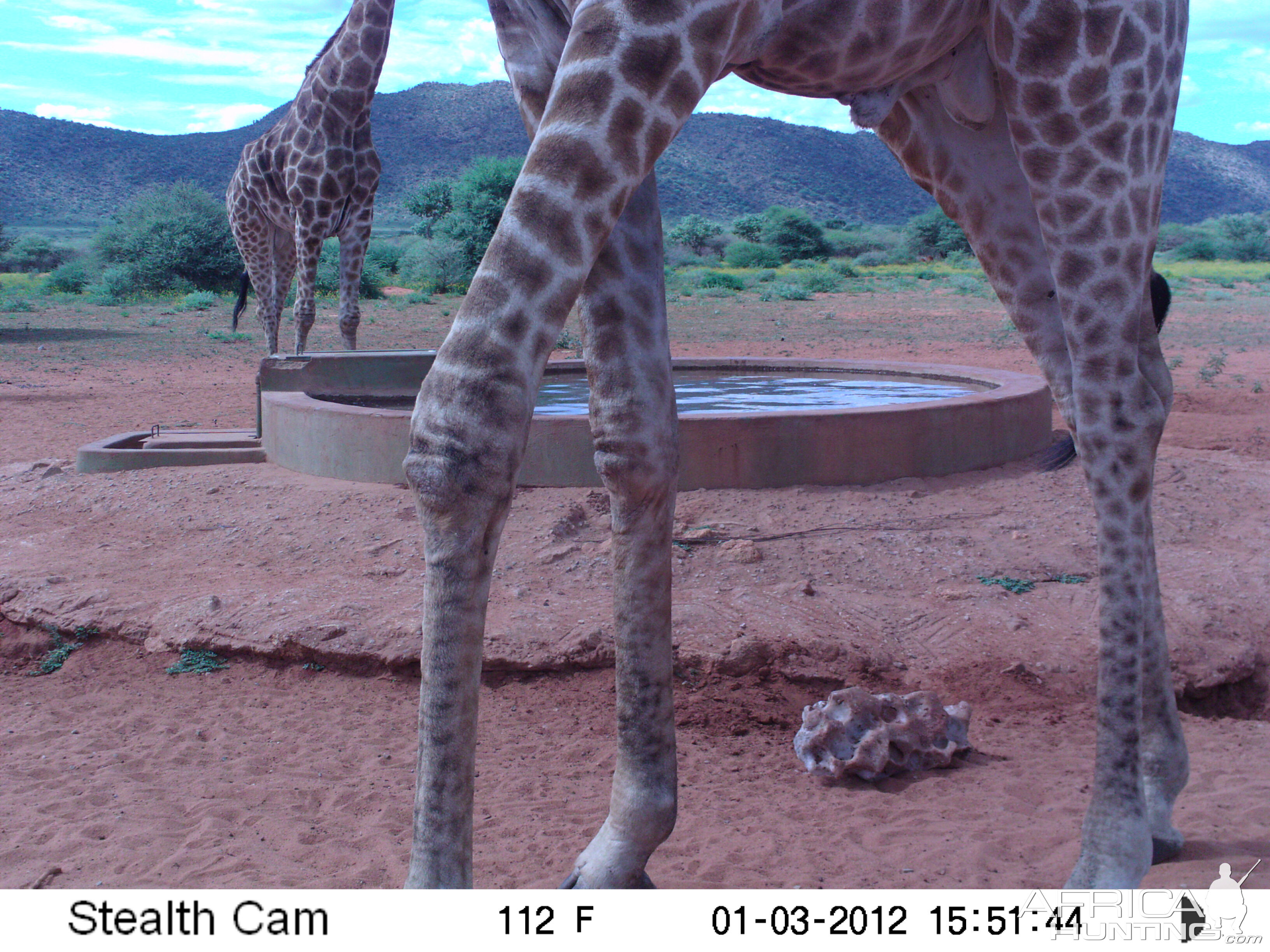 Trail Camera Namibia