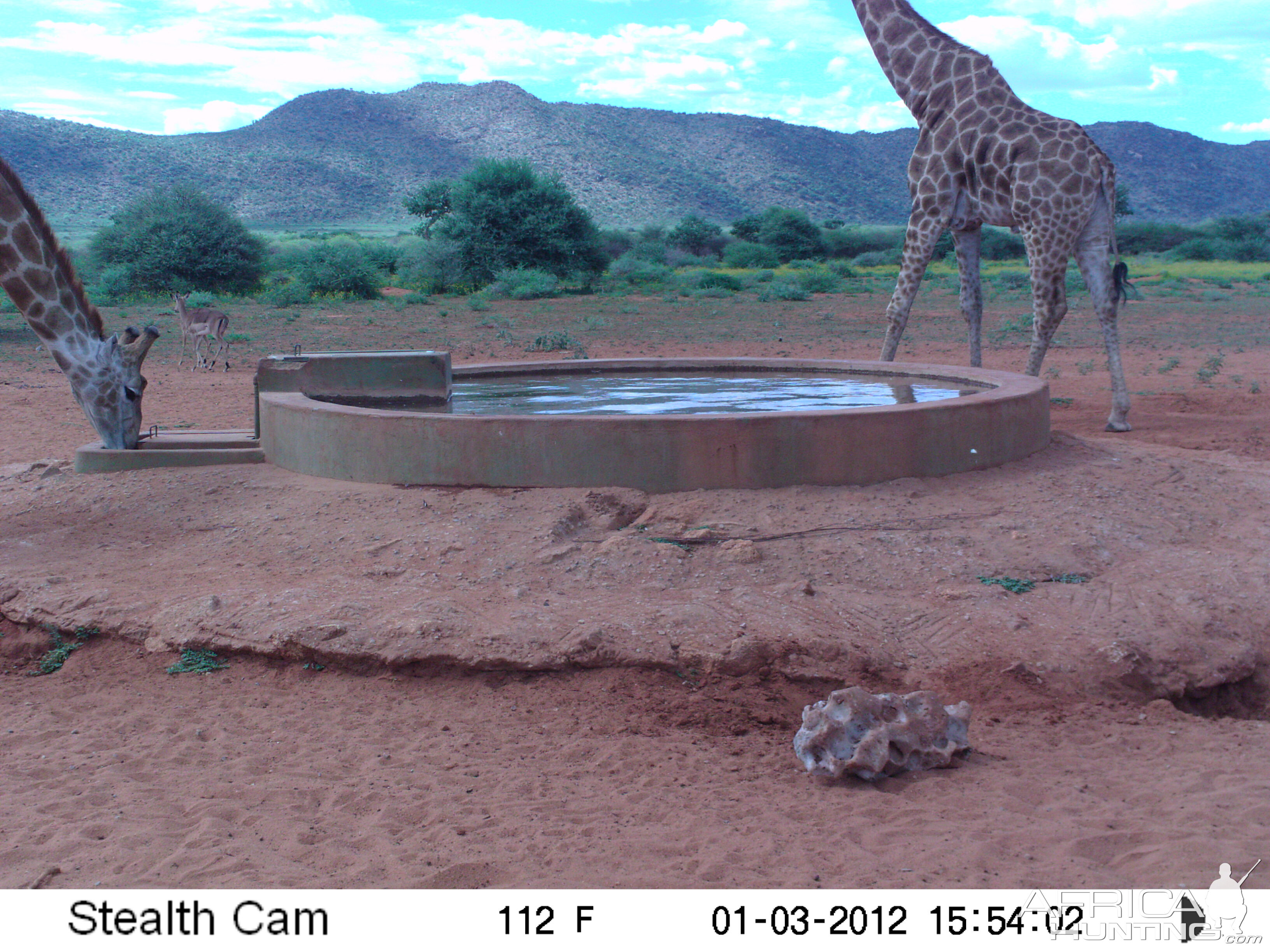 Trail Camera Namibia