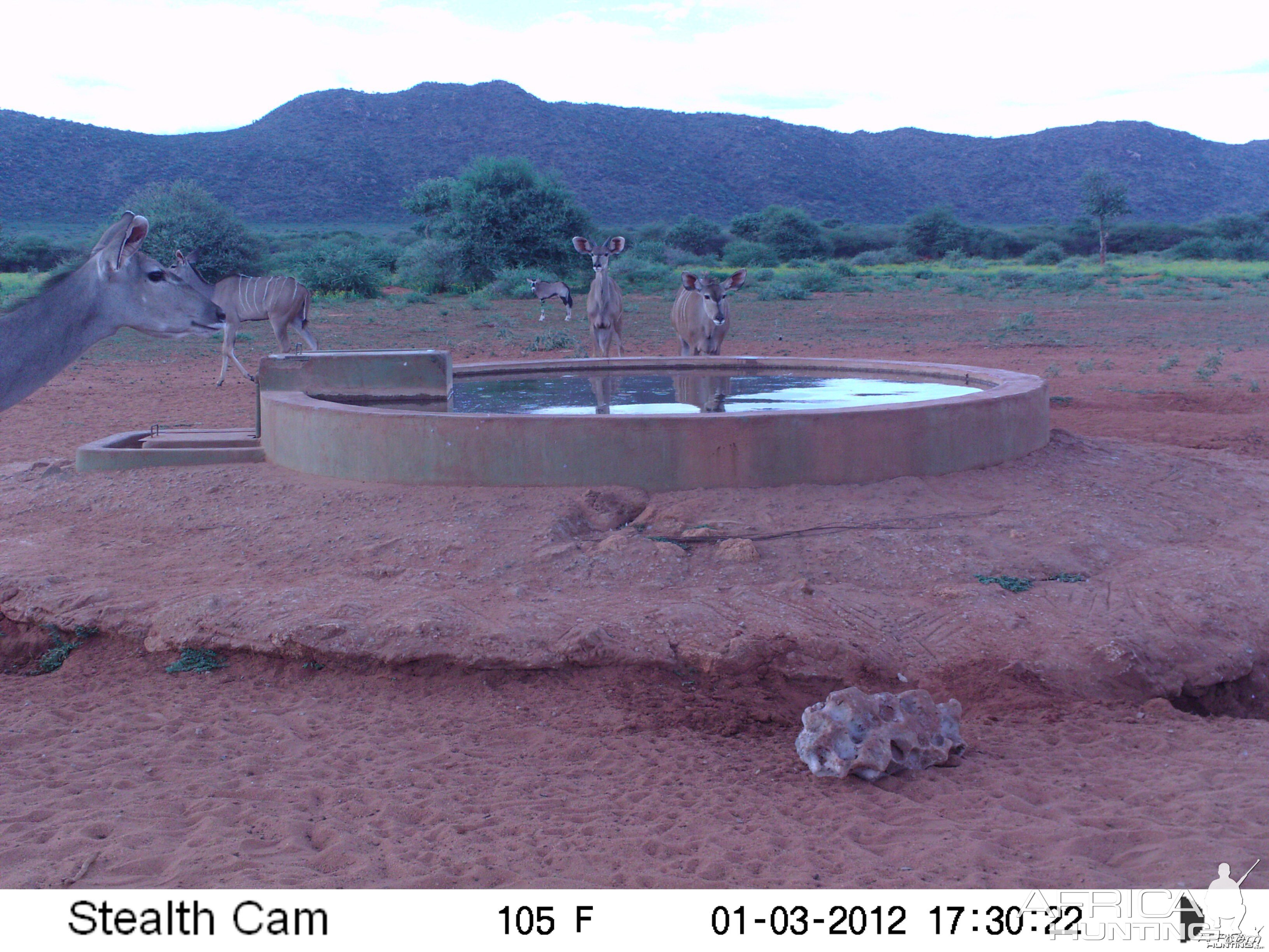 Trail Camera Namibia