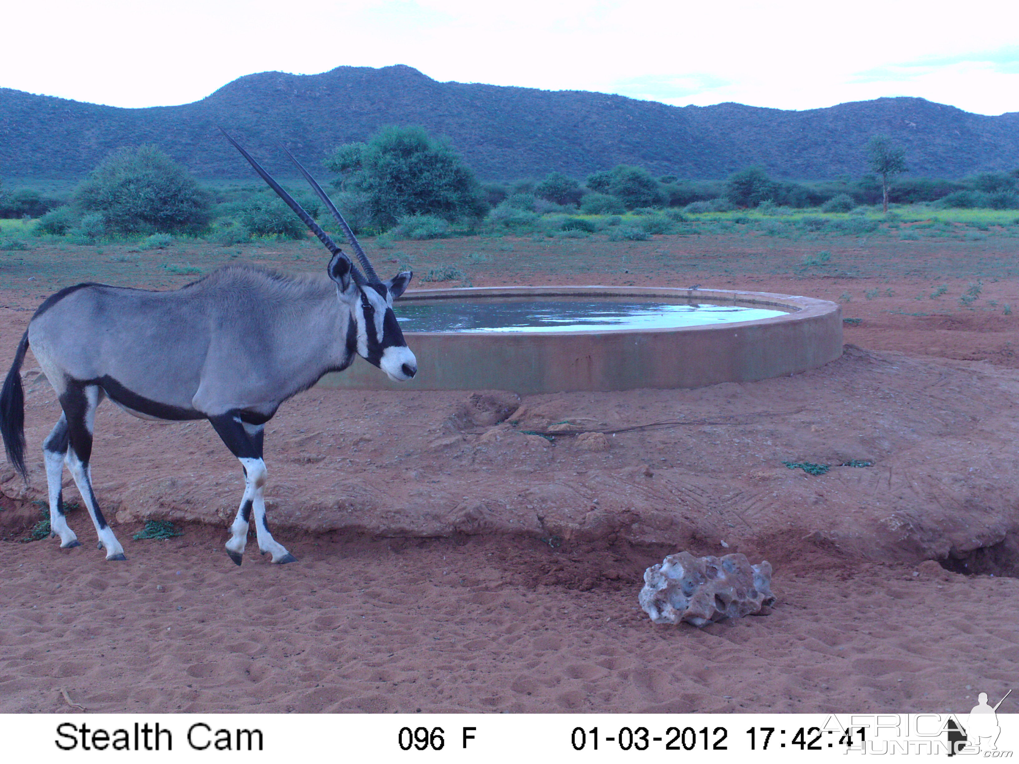 Trail Camera Namibia