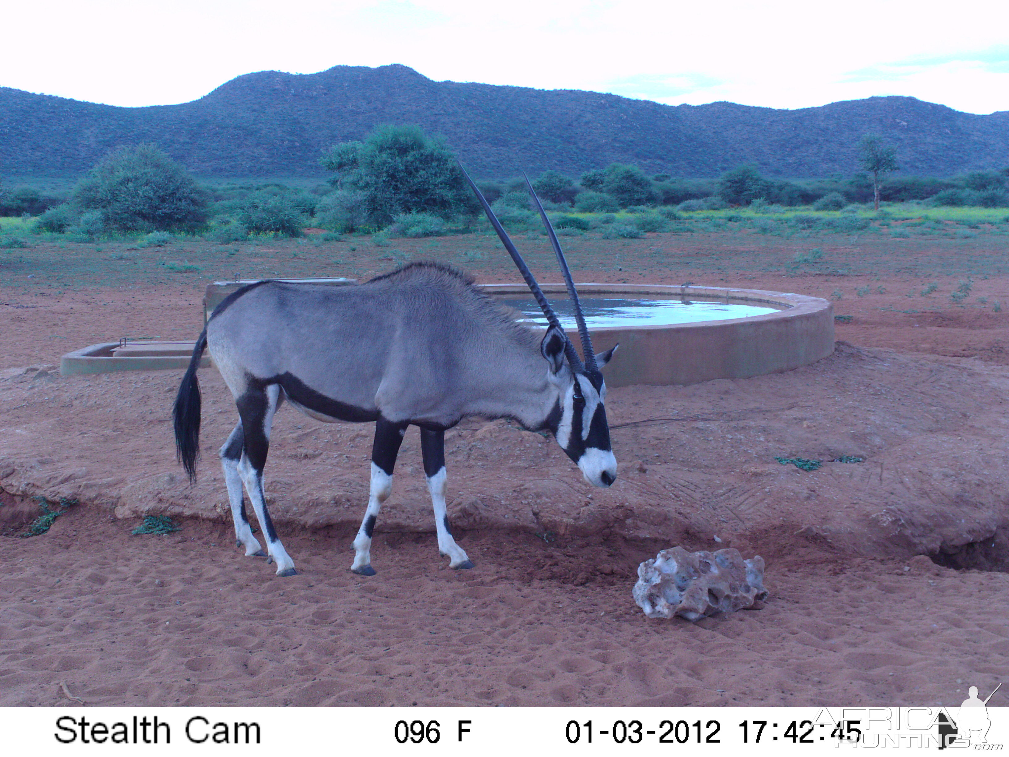 Trail Camera Namibia