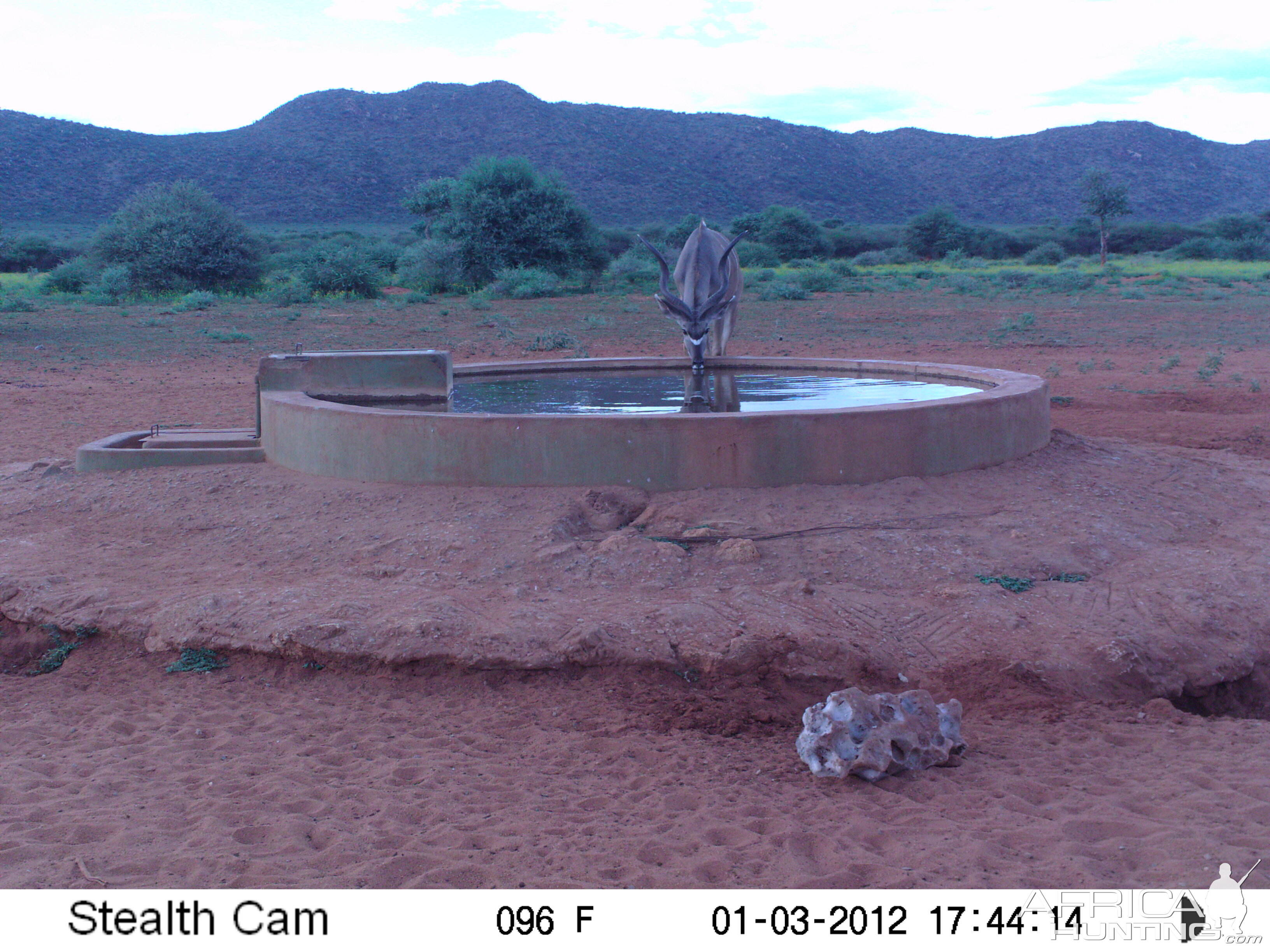 Trail Camera Namibia