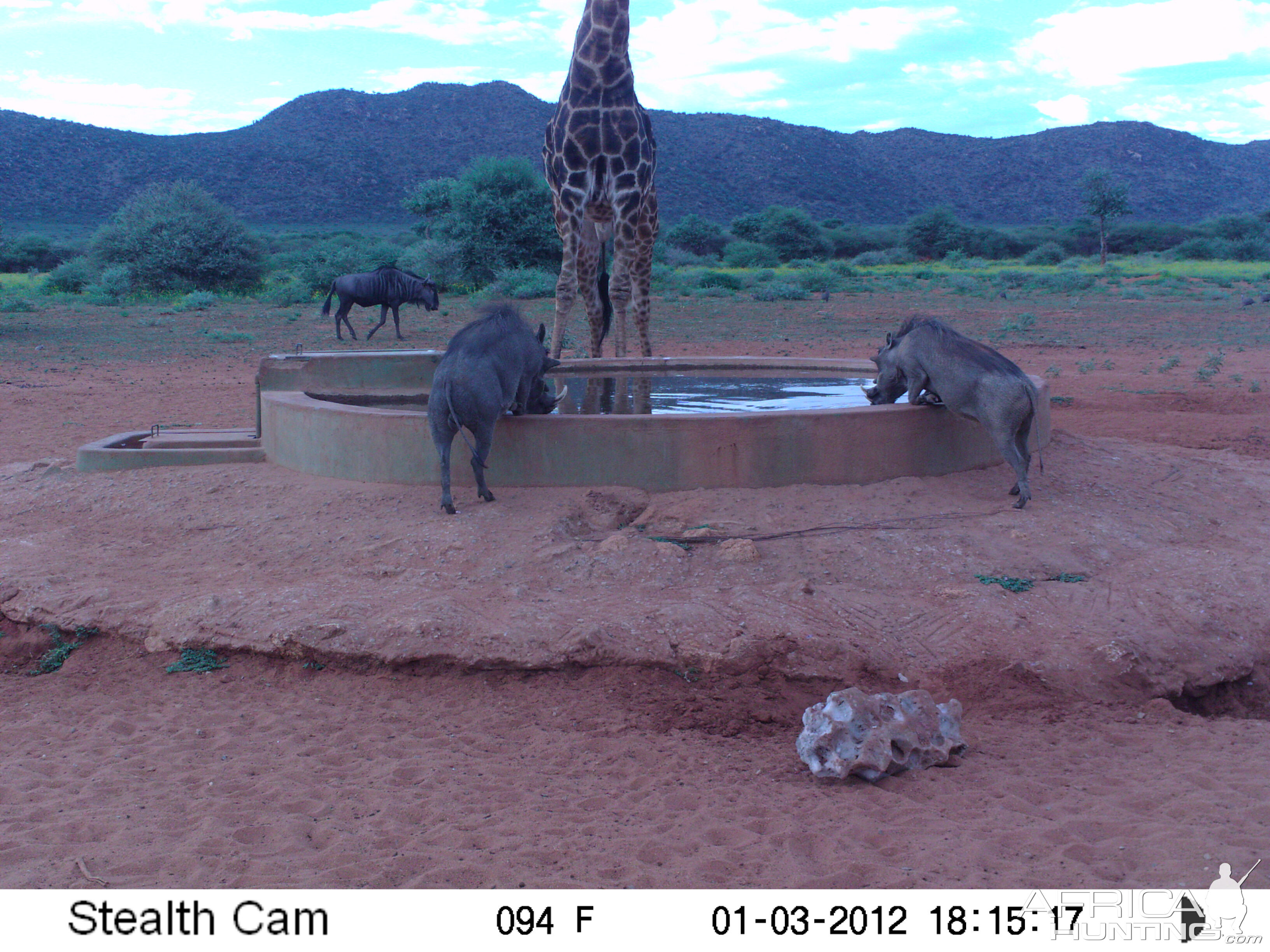 Trail Camera Namibia