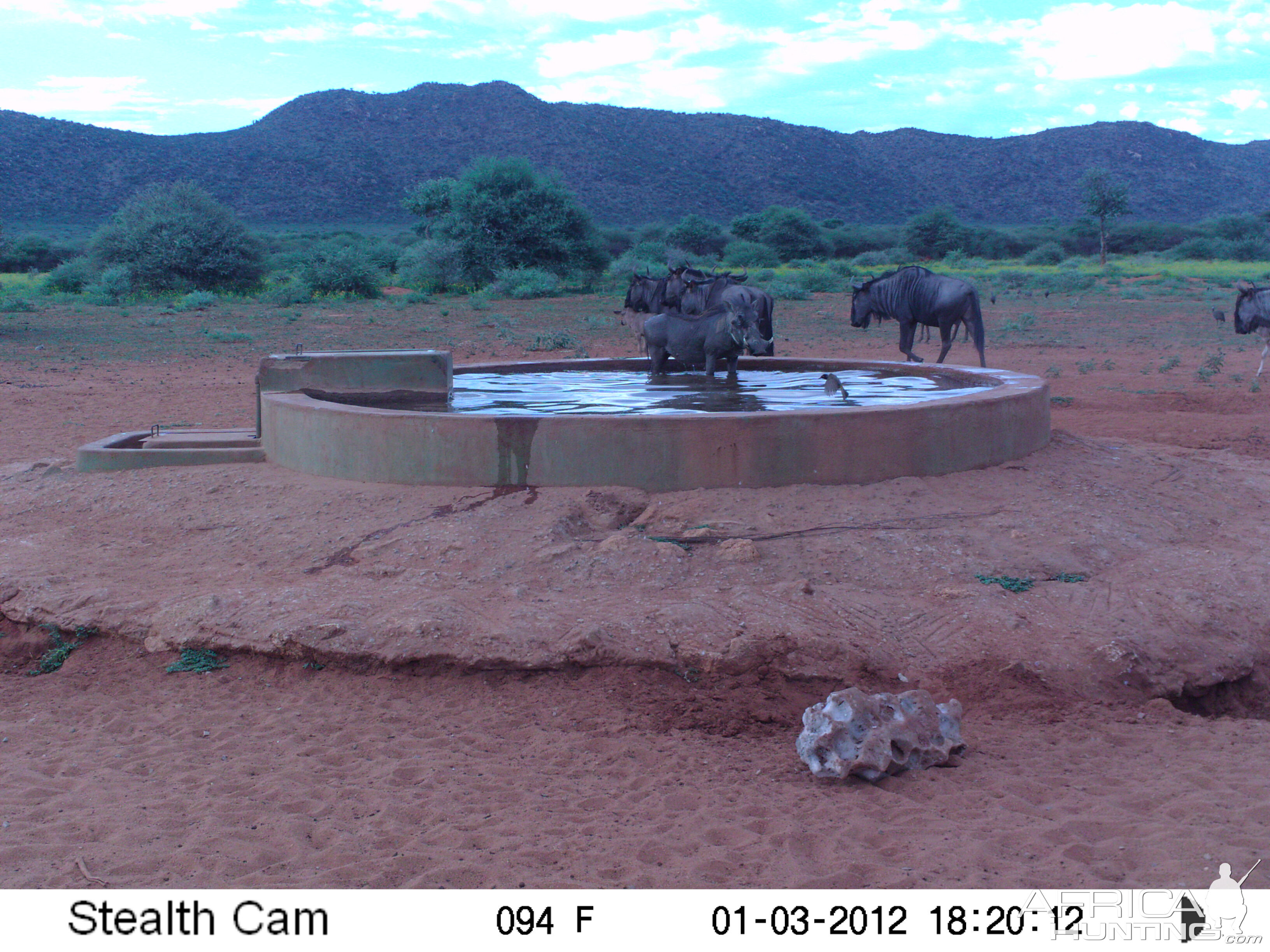 Trail Camera Namibia