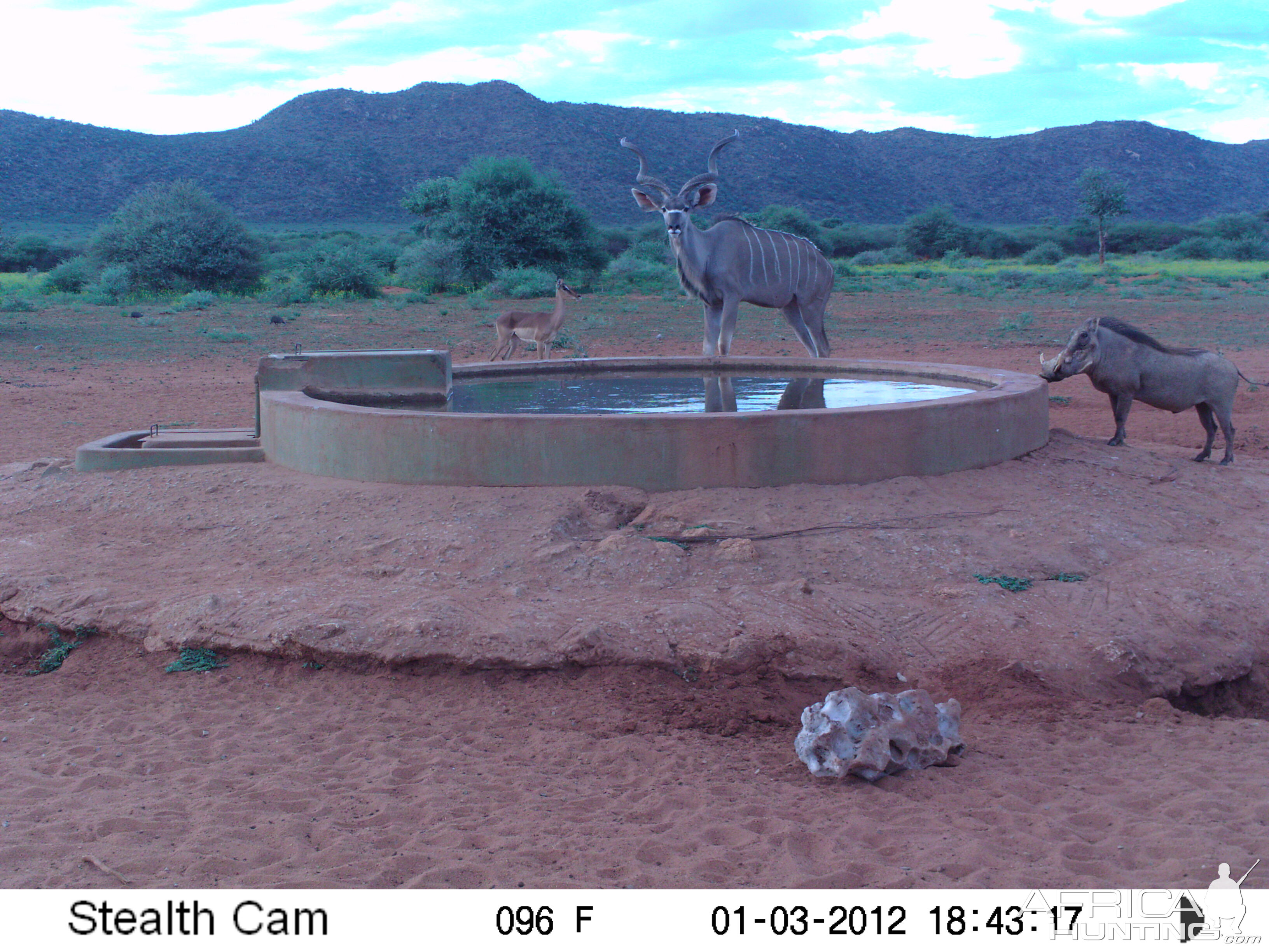 Trail Camera Namibia