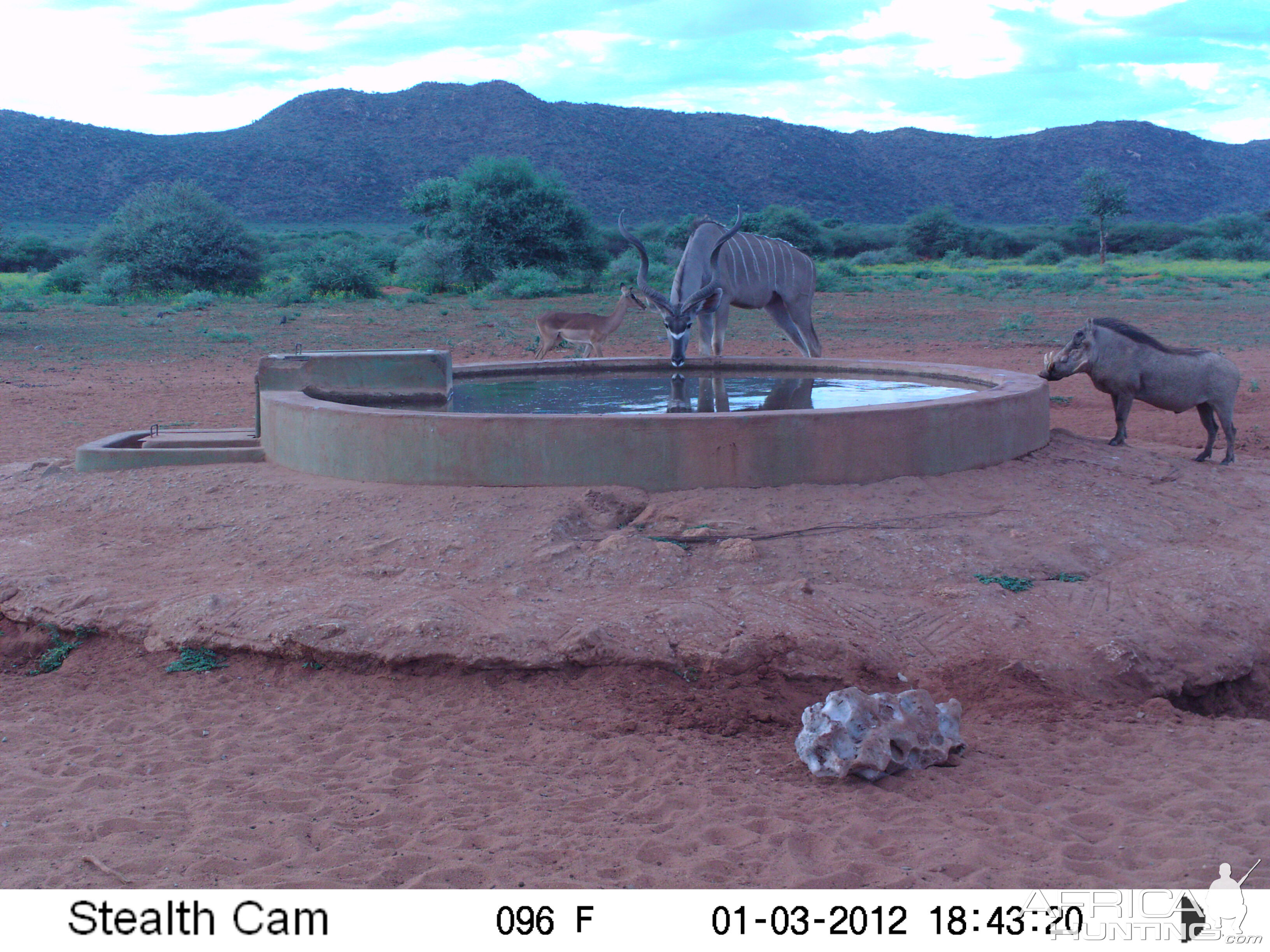 Trail Camera Namibia