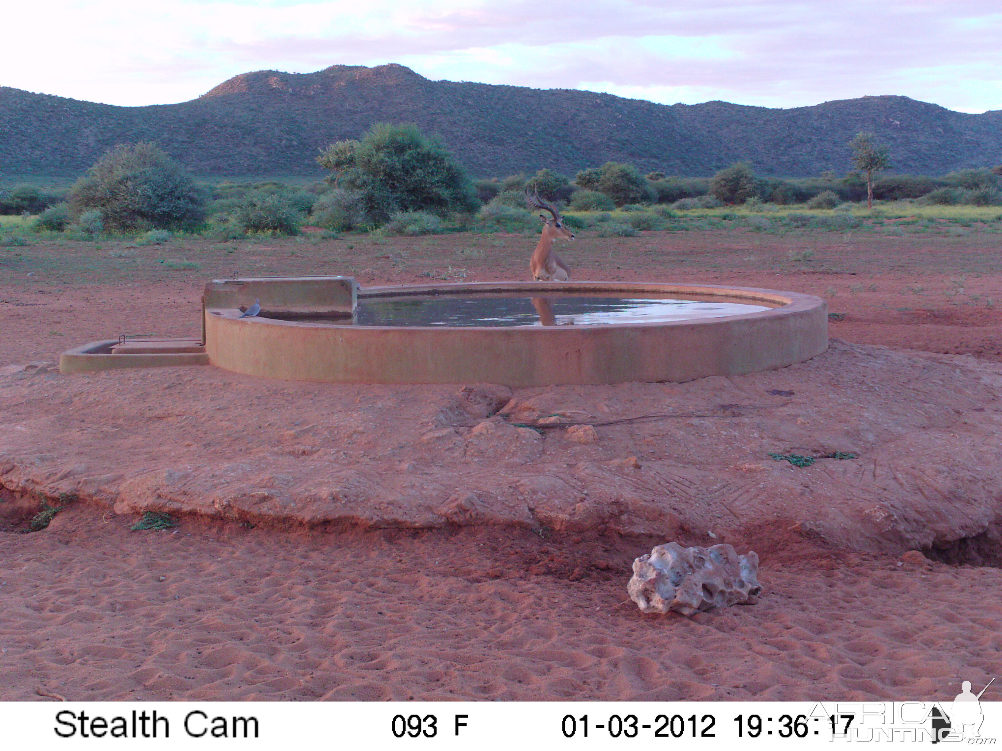 Trail Camera Namibia