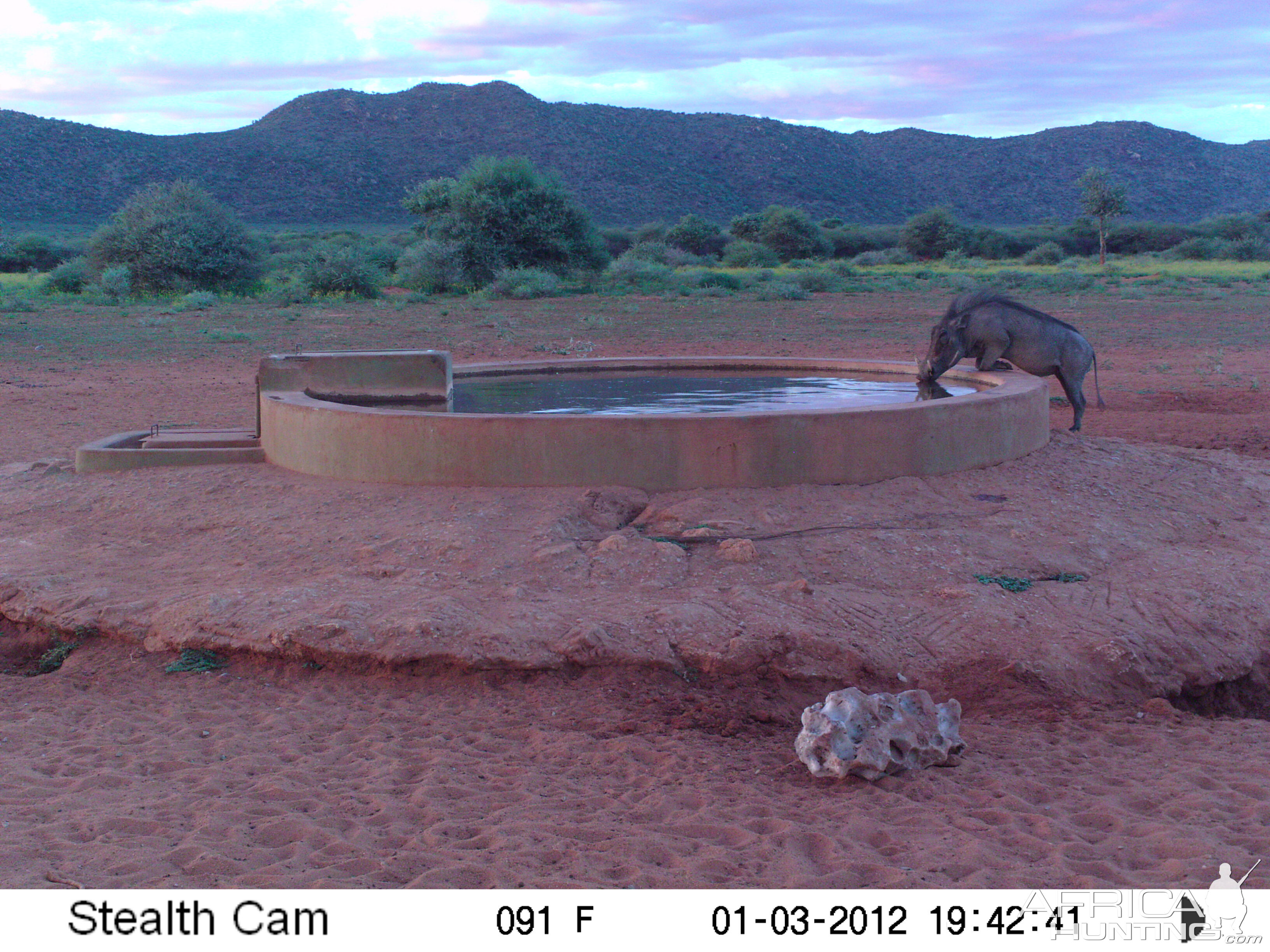 Trail Camera Namibia