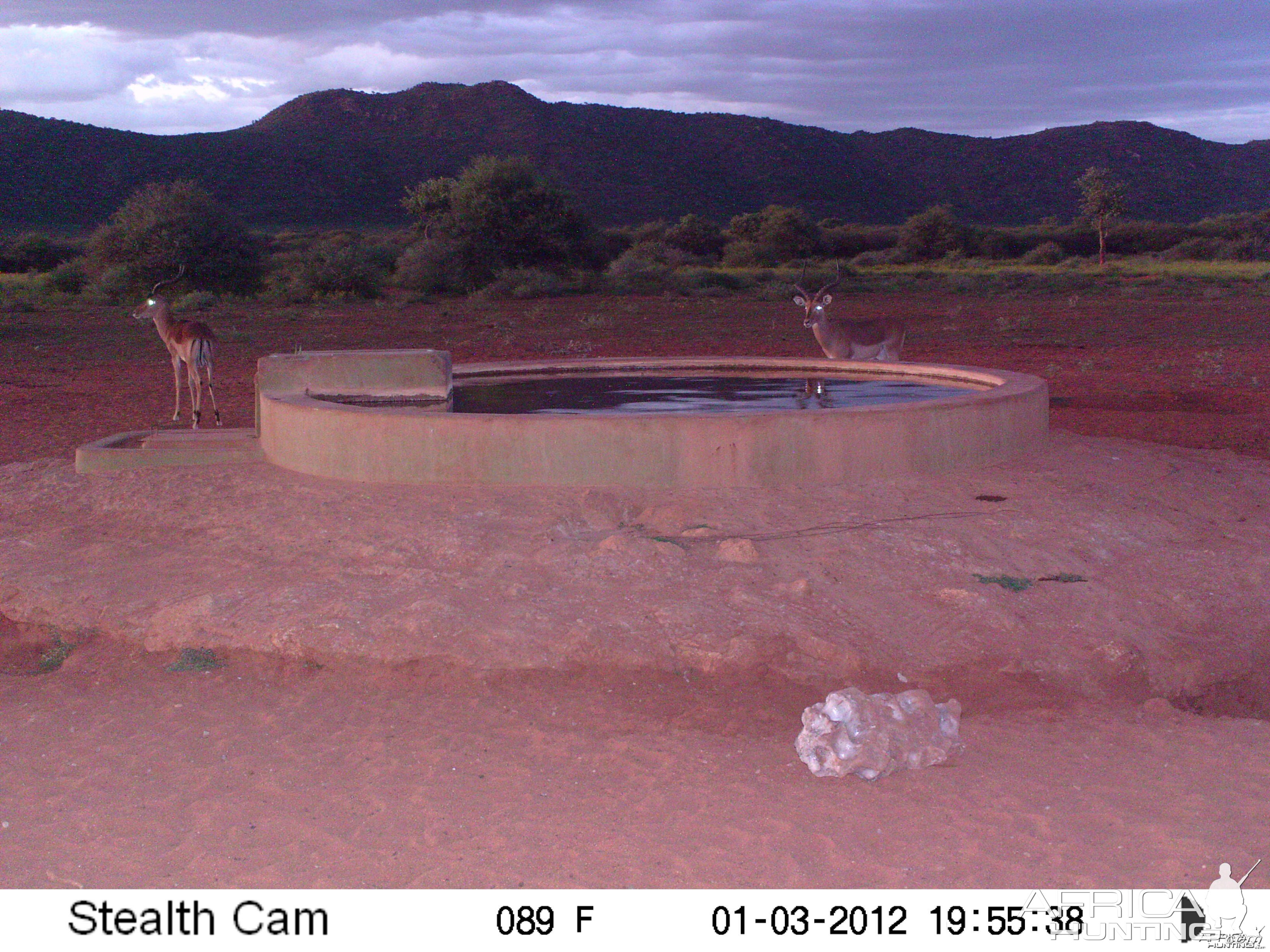 Trail Camera Namibia