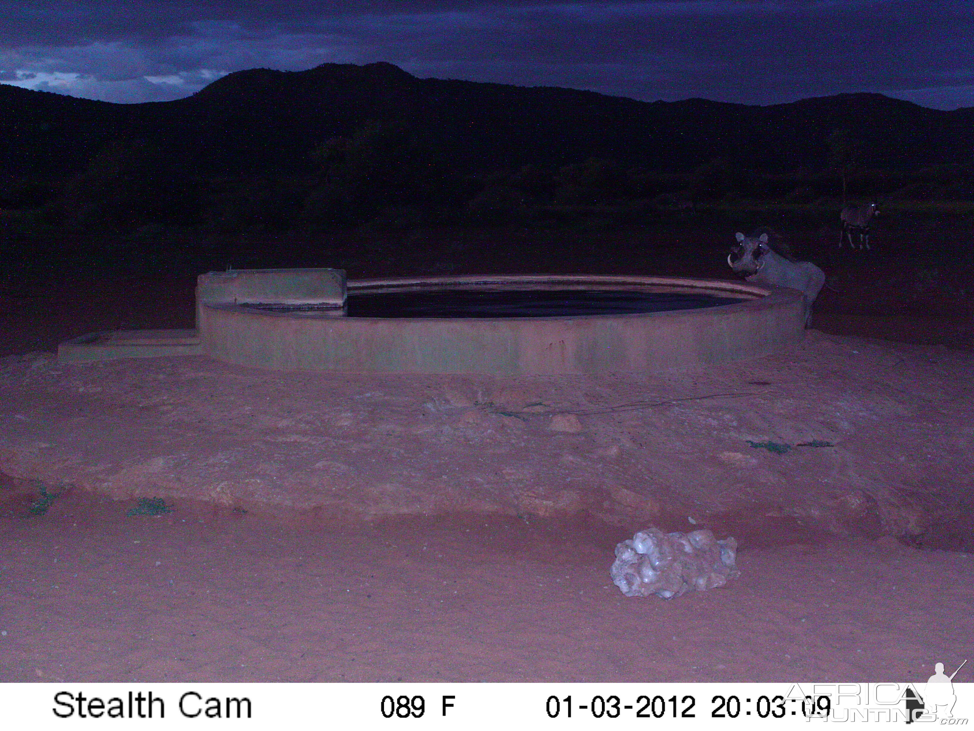 Trail Camera Namibia