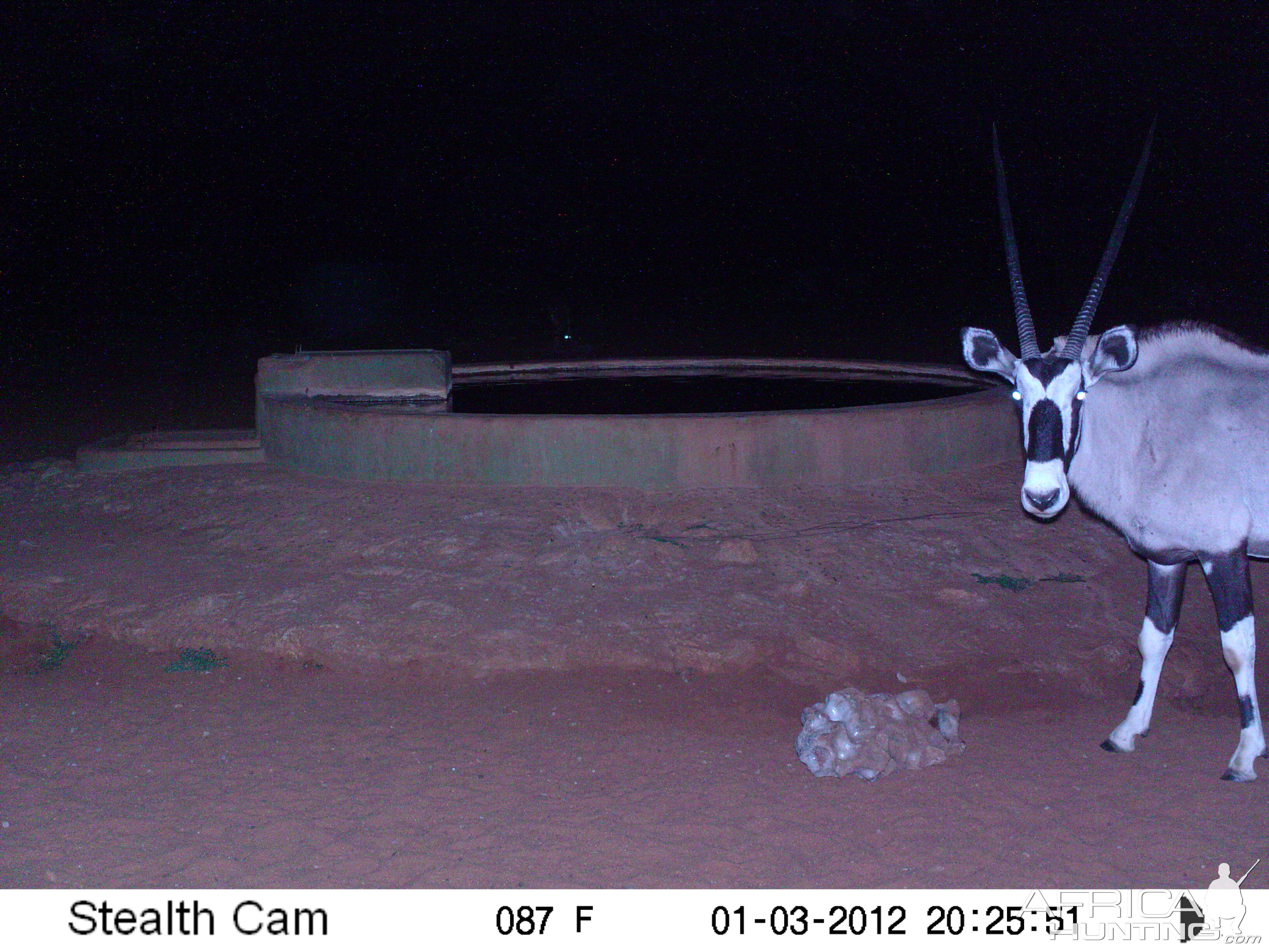 Trail Camera Namibia