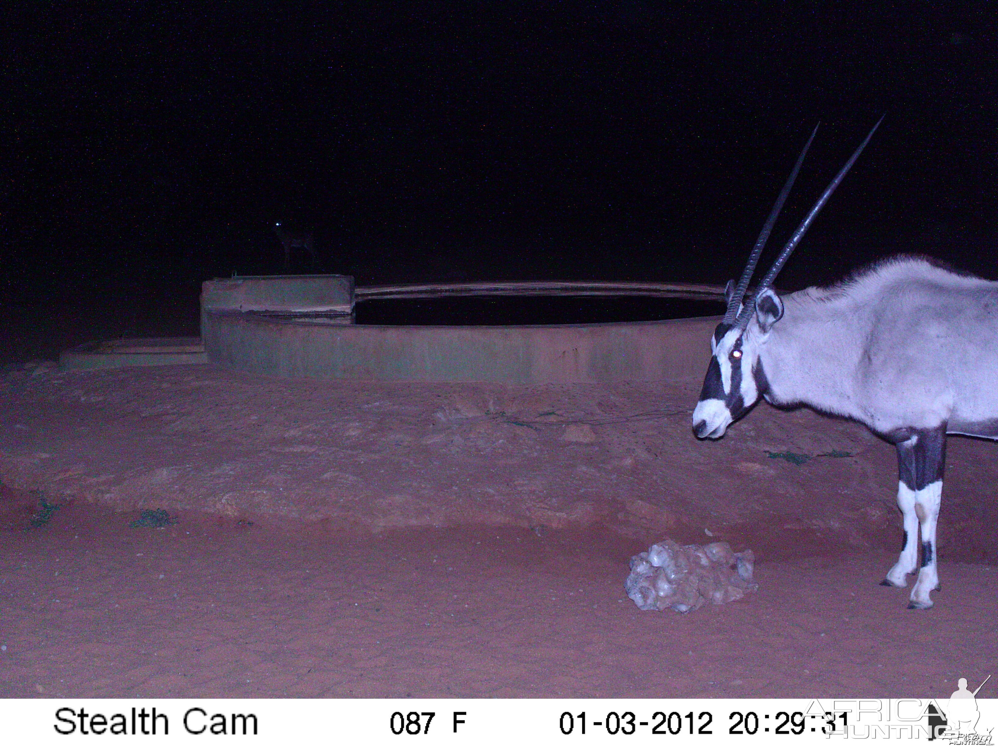 Trail Camera Namibia