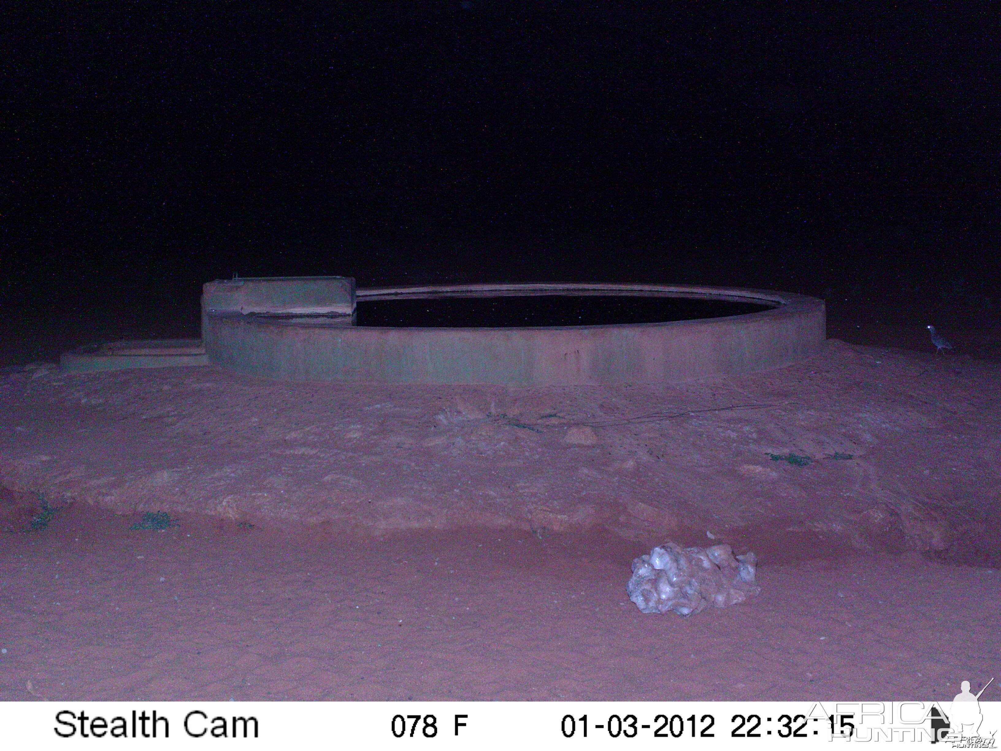 Trail Camera Namibia