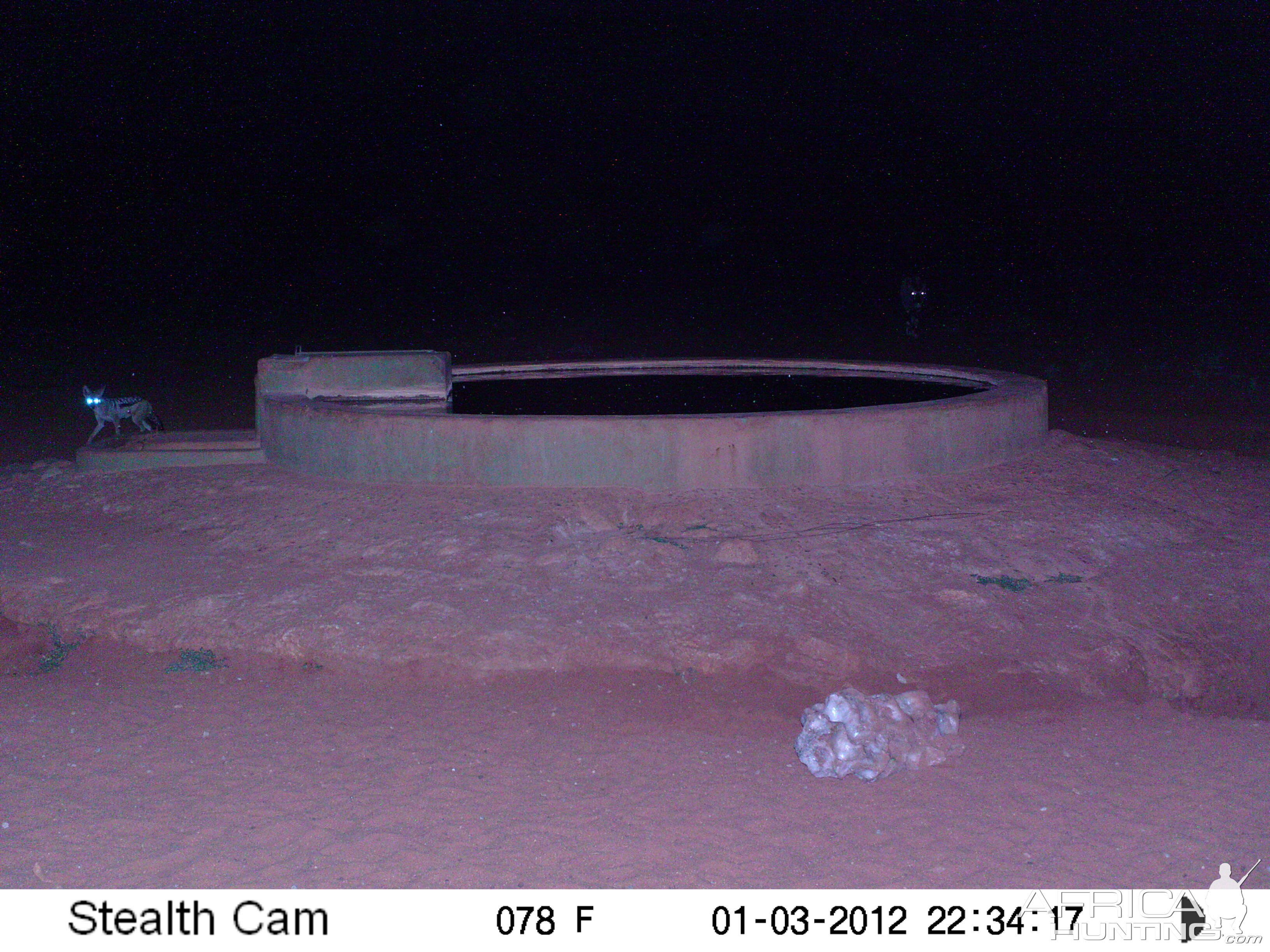 Trail Camera Namibia