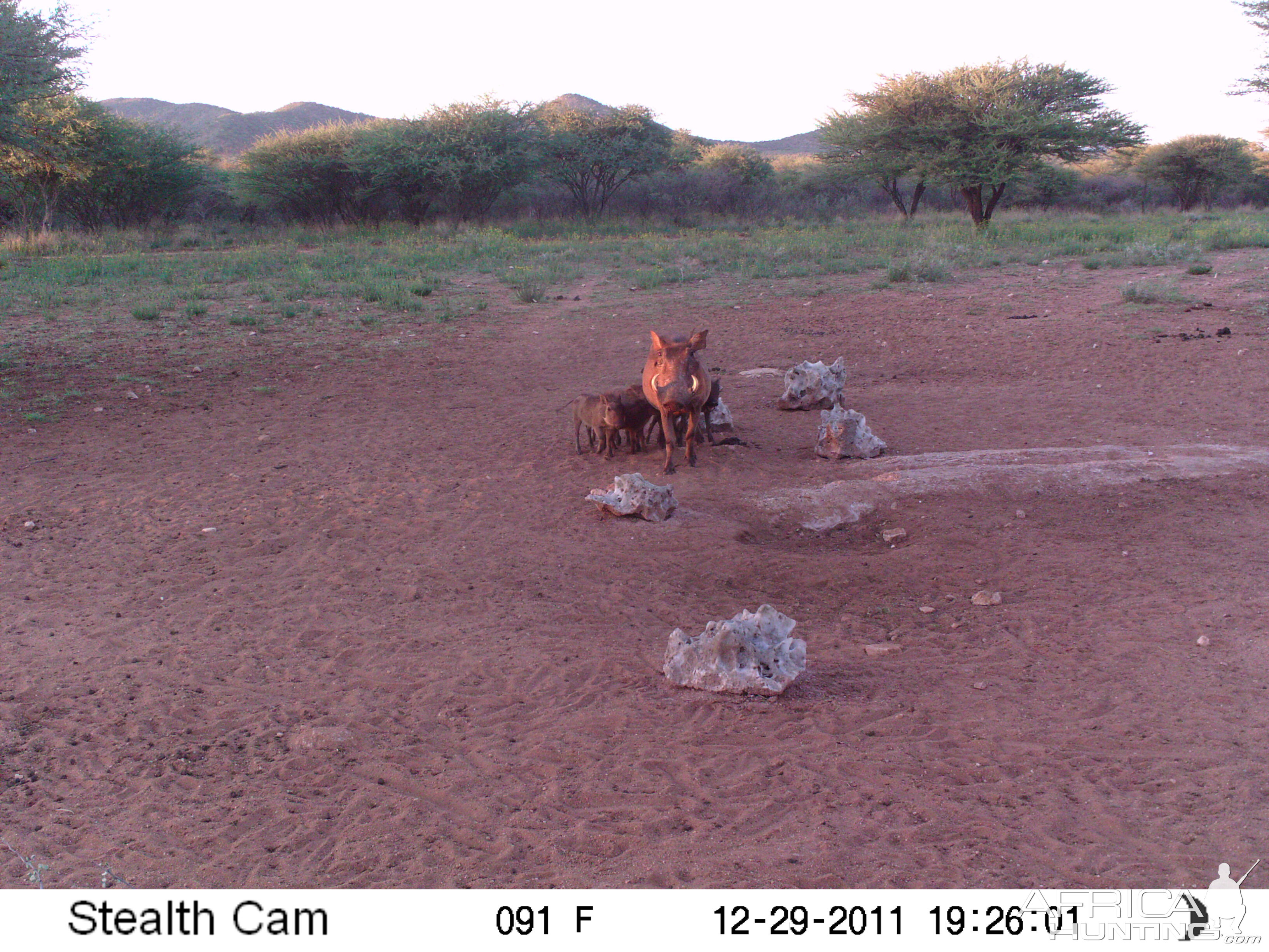 Trail Camera Namibia