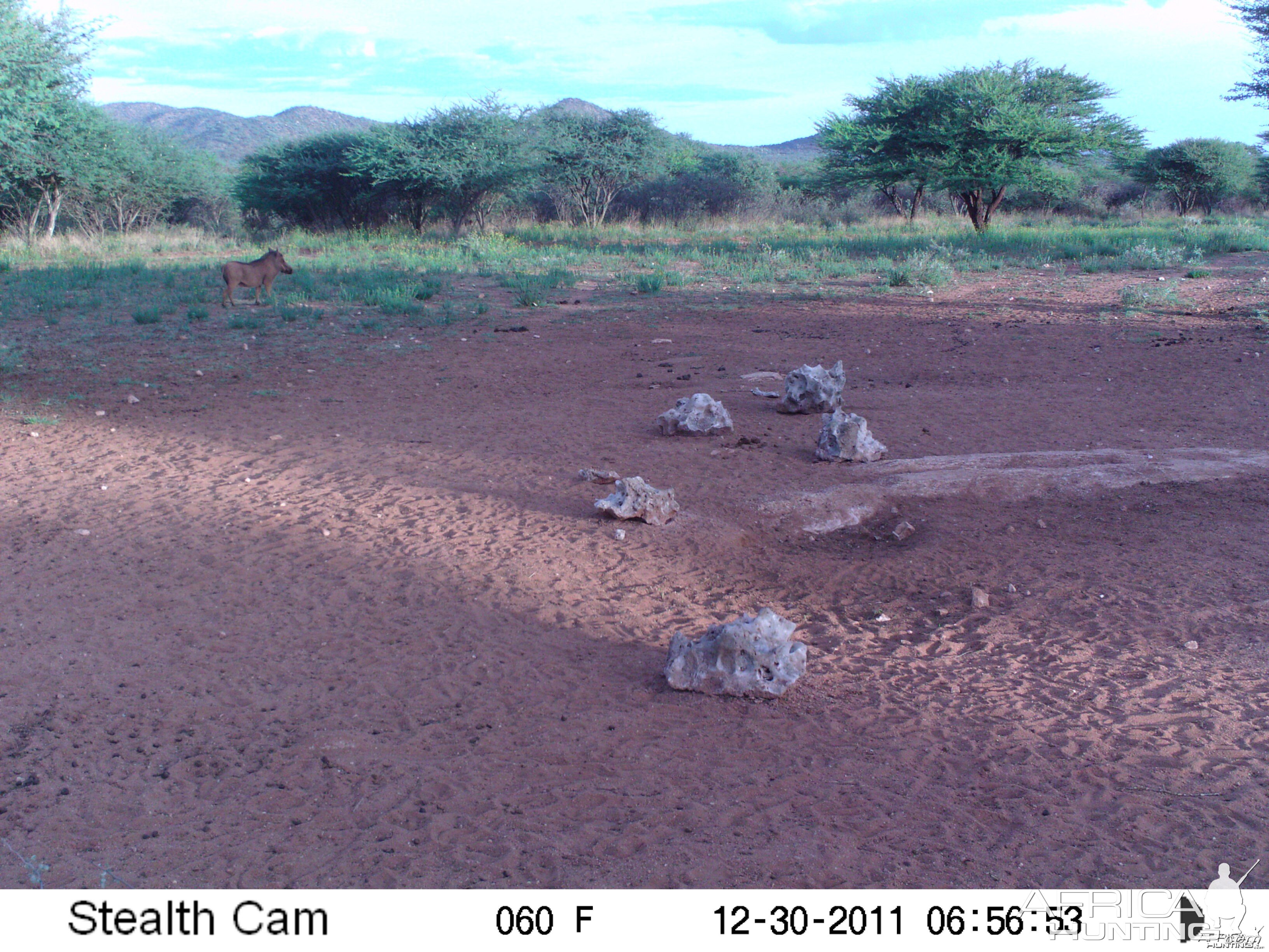 Trail Camera Namibia