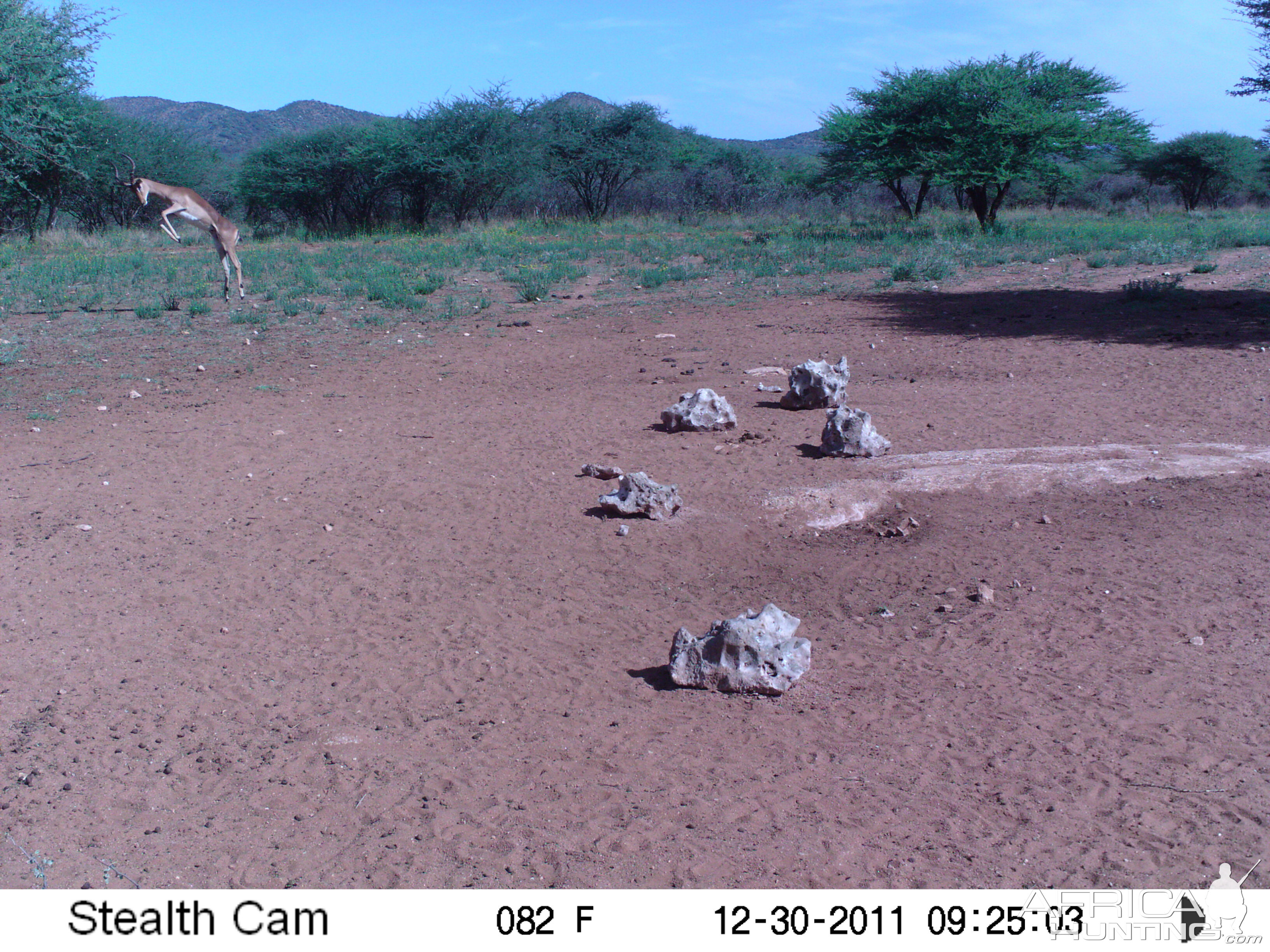 Trail Camera Namibia