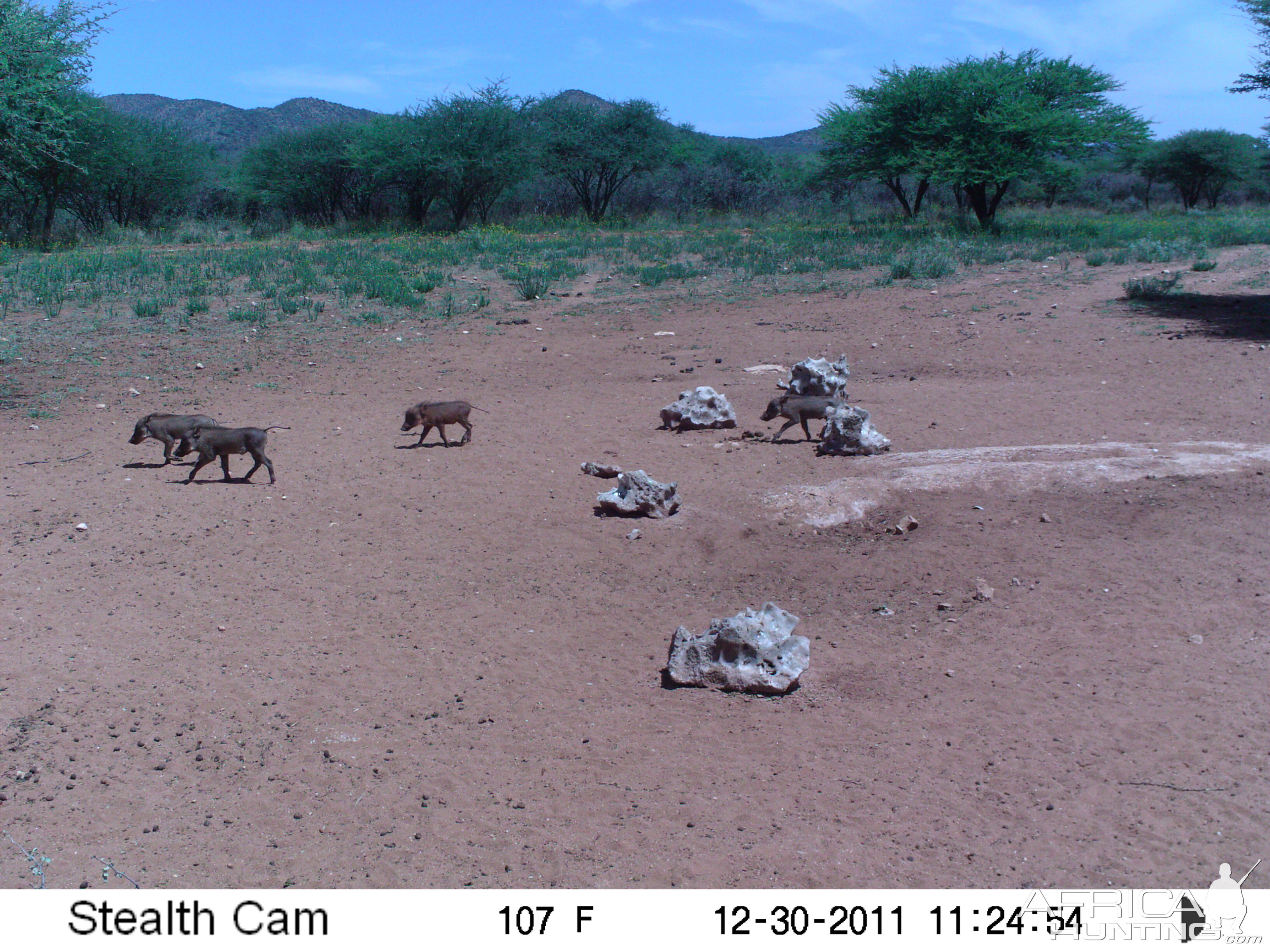 Trail Camera Namibia