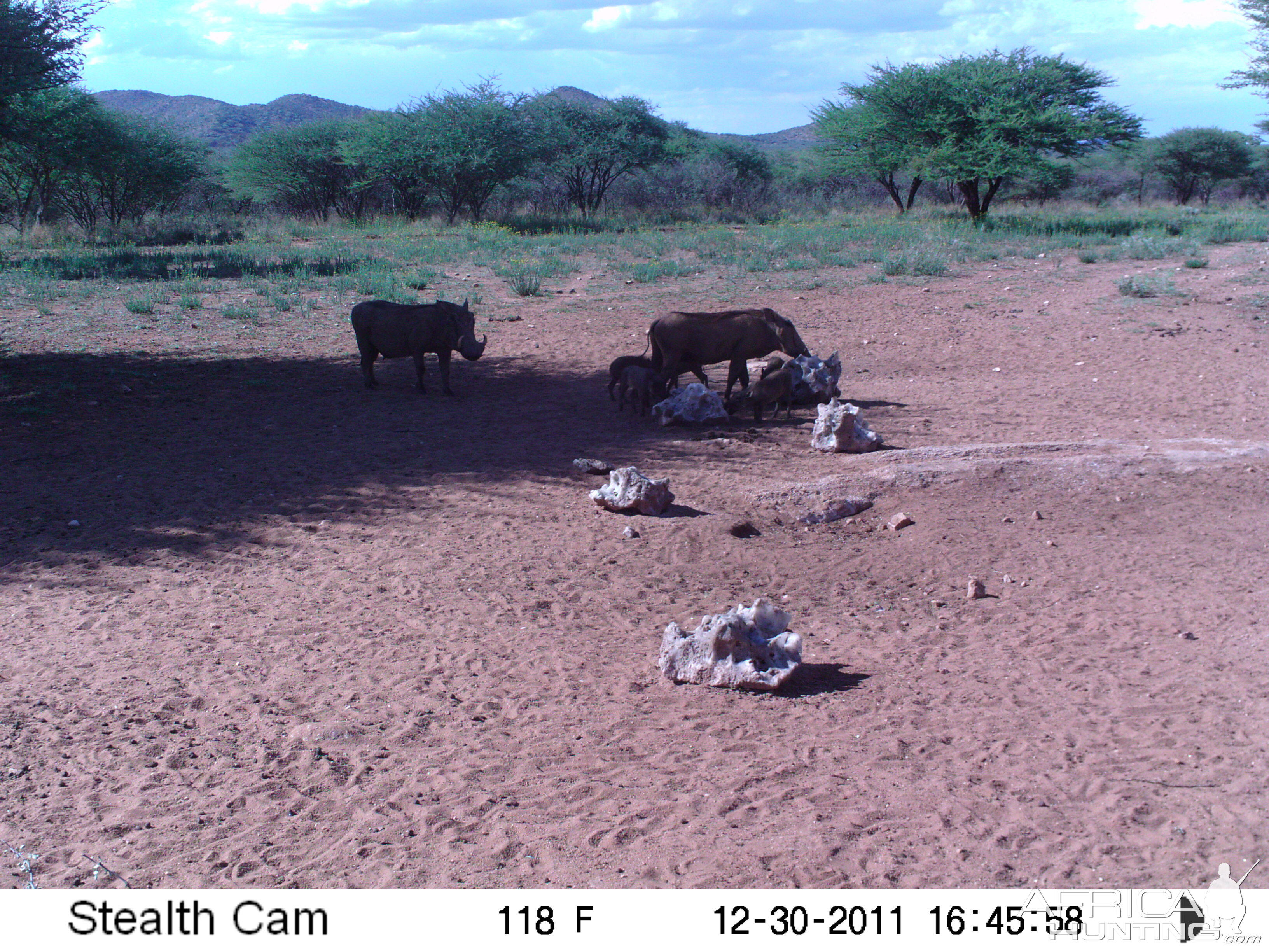 Trail Camera Namibia