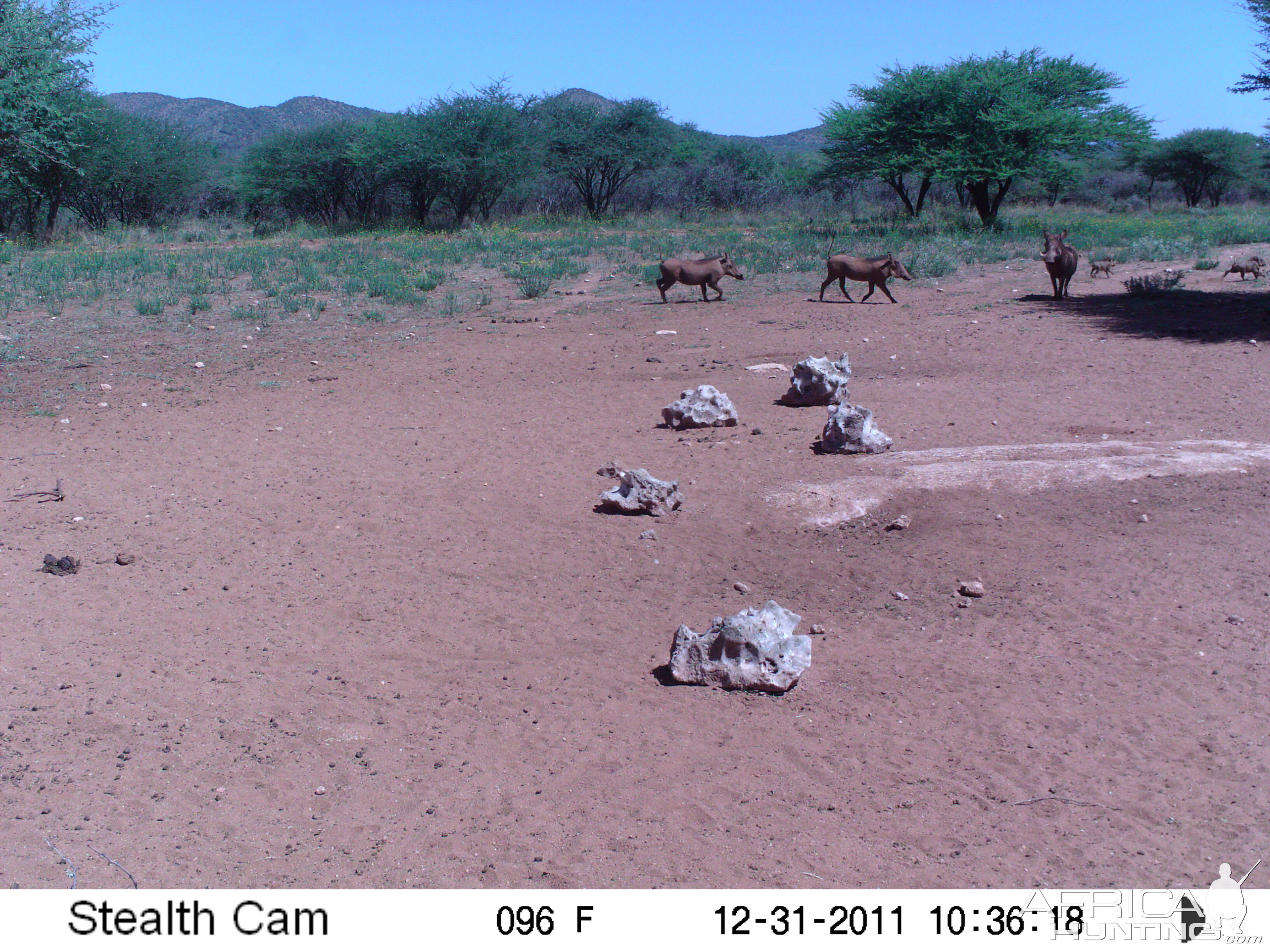 Trail Camera Namibia