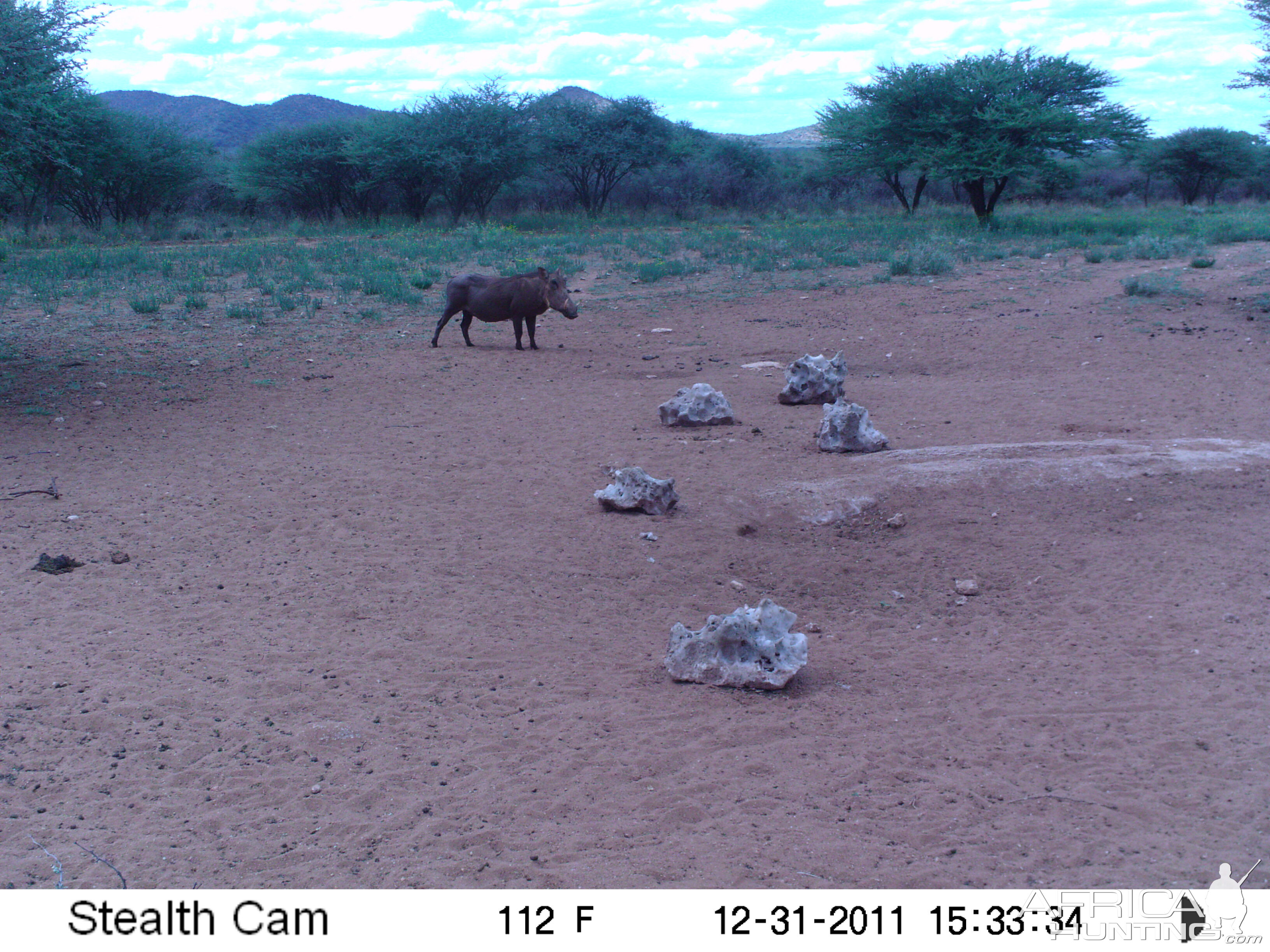 Trail Camera Namibia