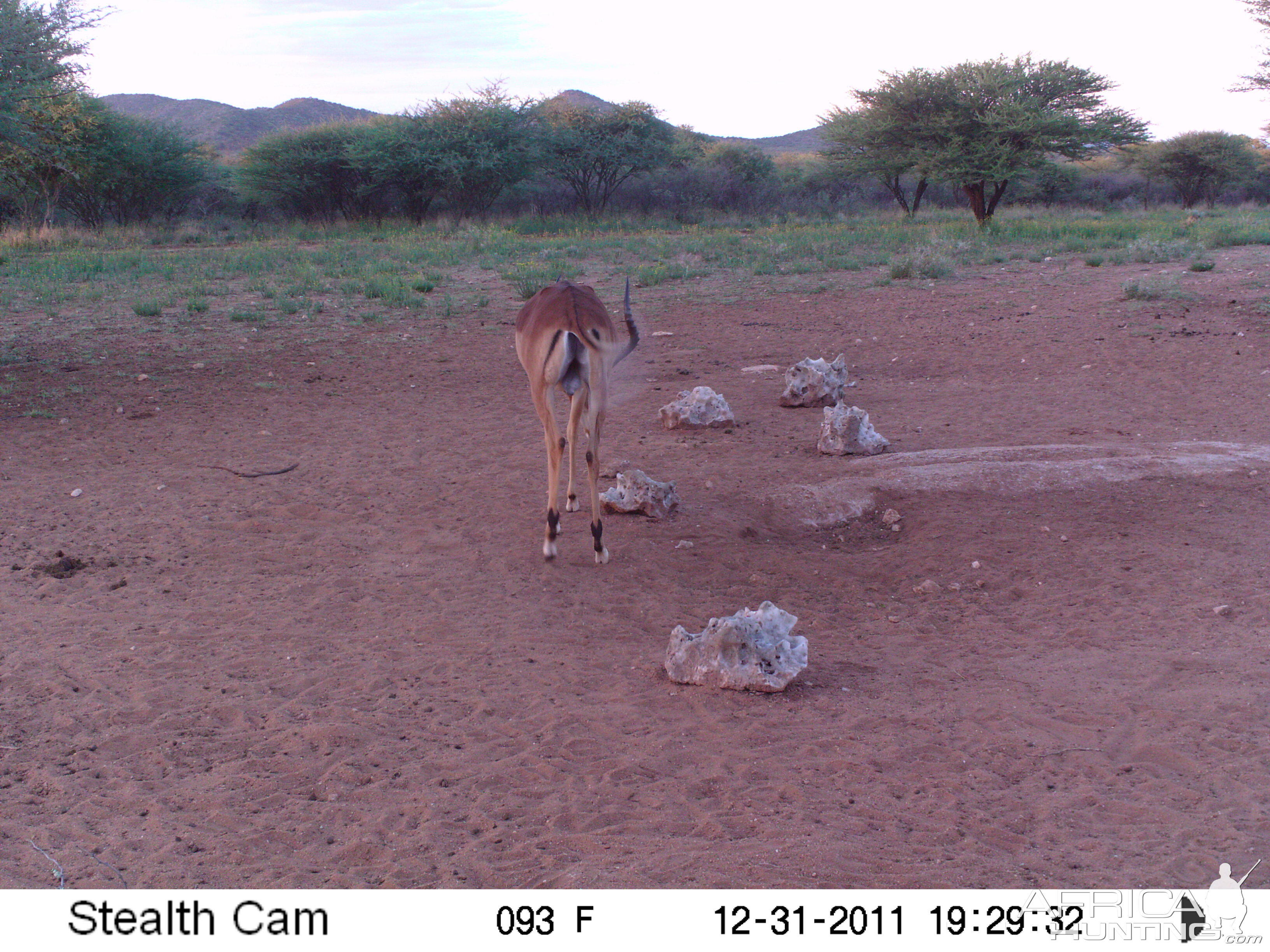 Trail Camera Namibia