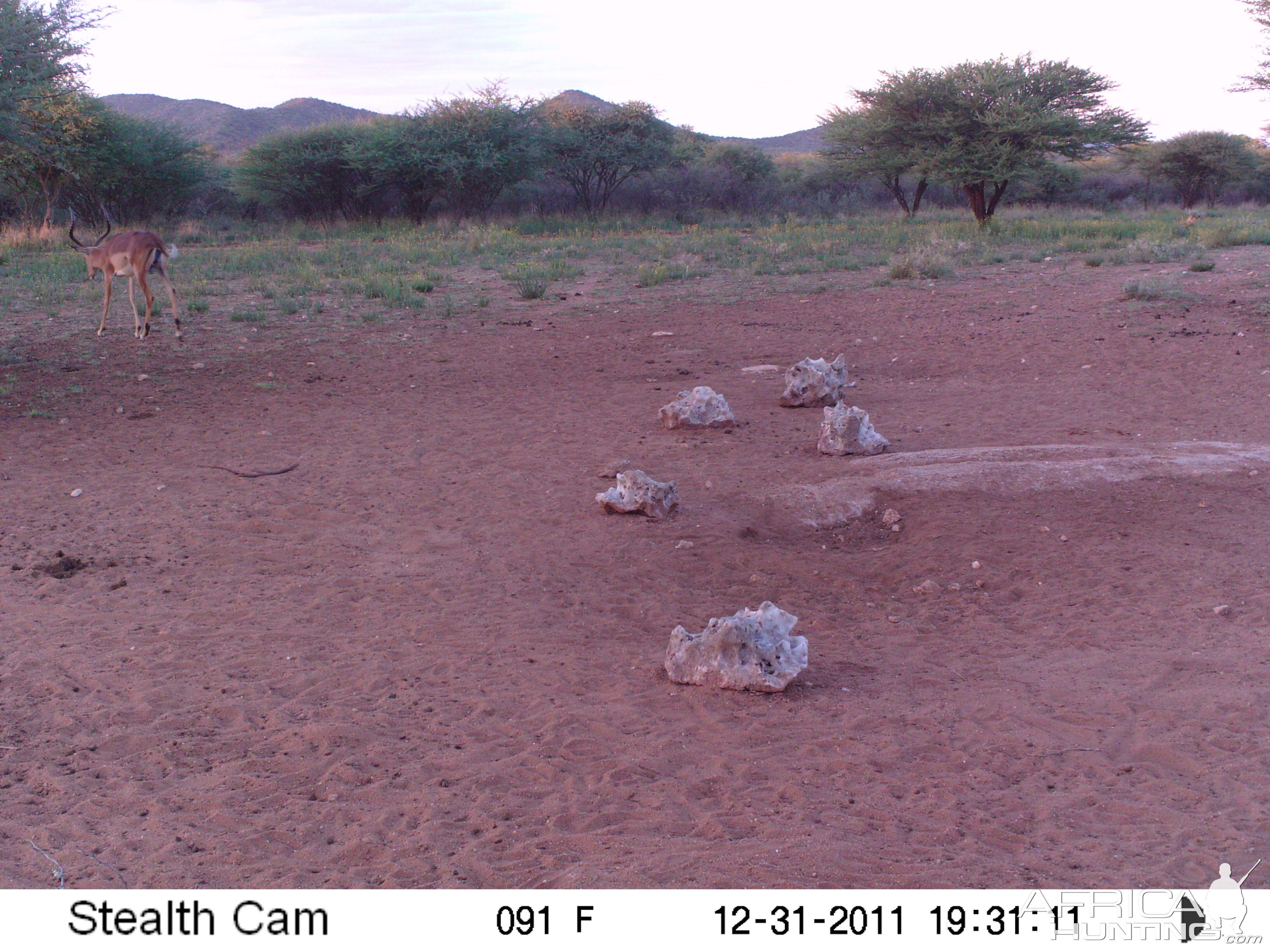 Trail Camera Namibia