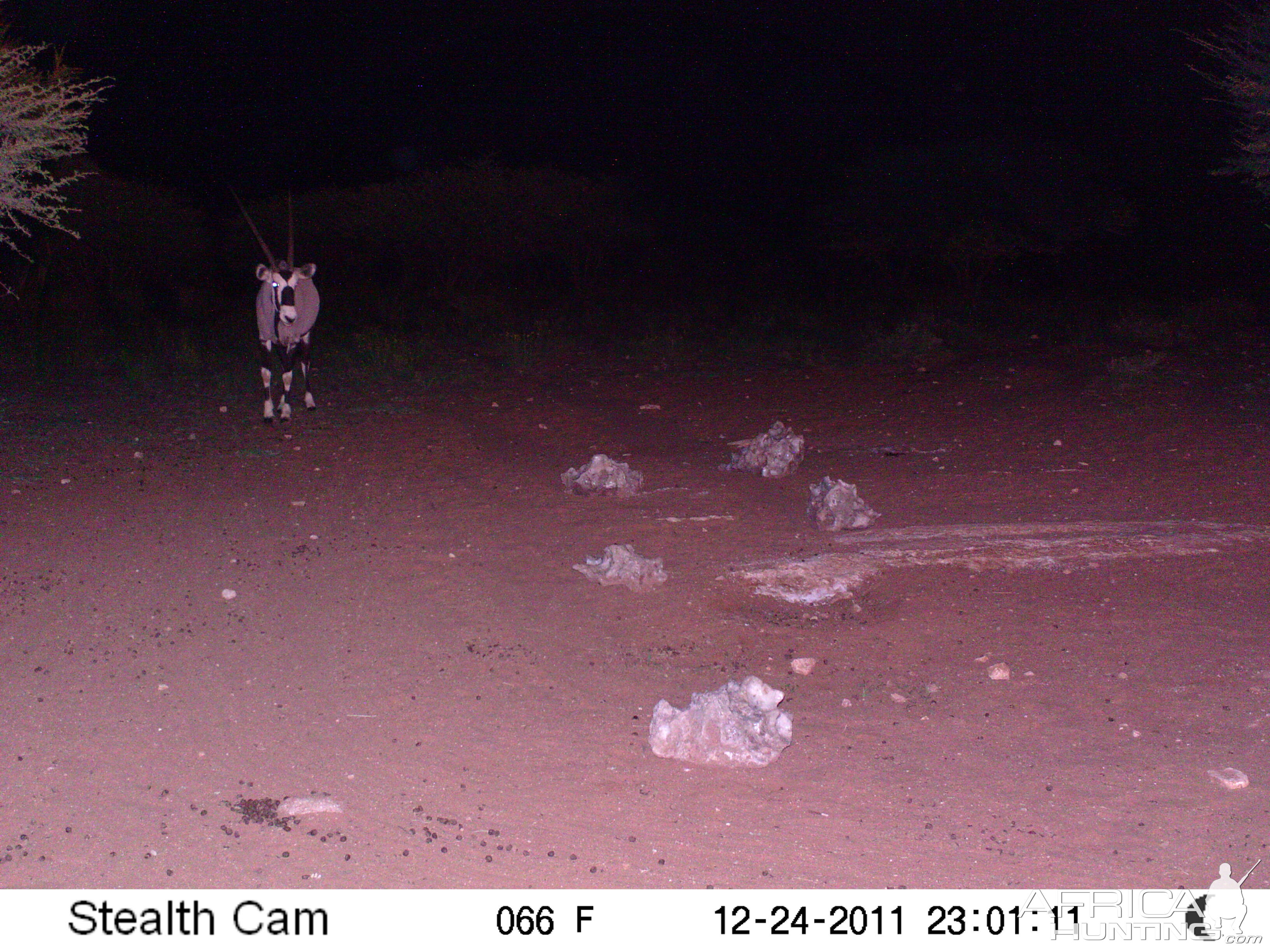 Trail Camera Namibia