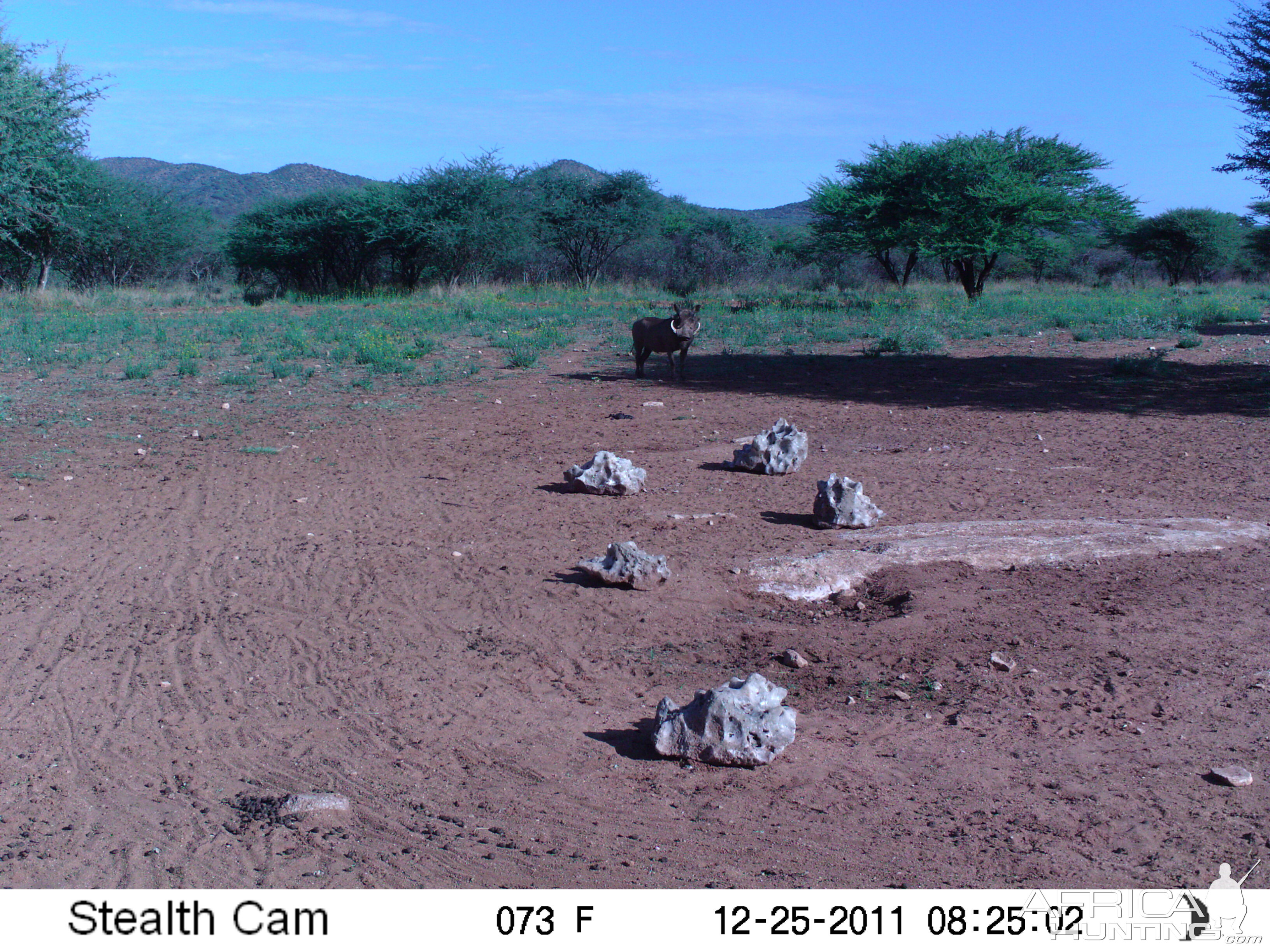 Trail Camera Namibia