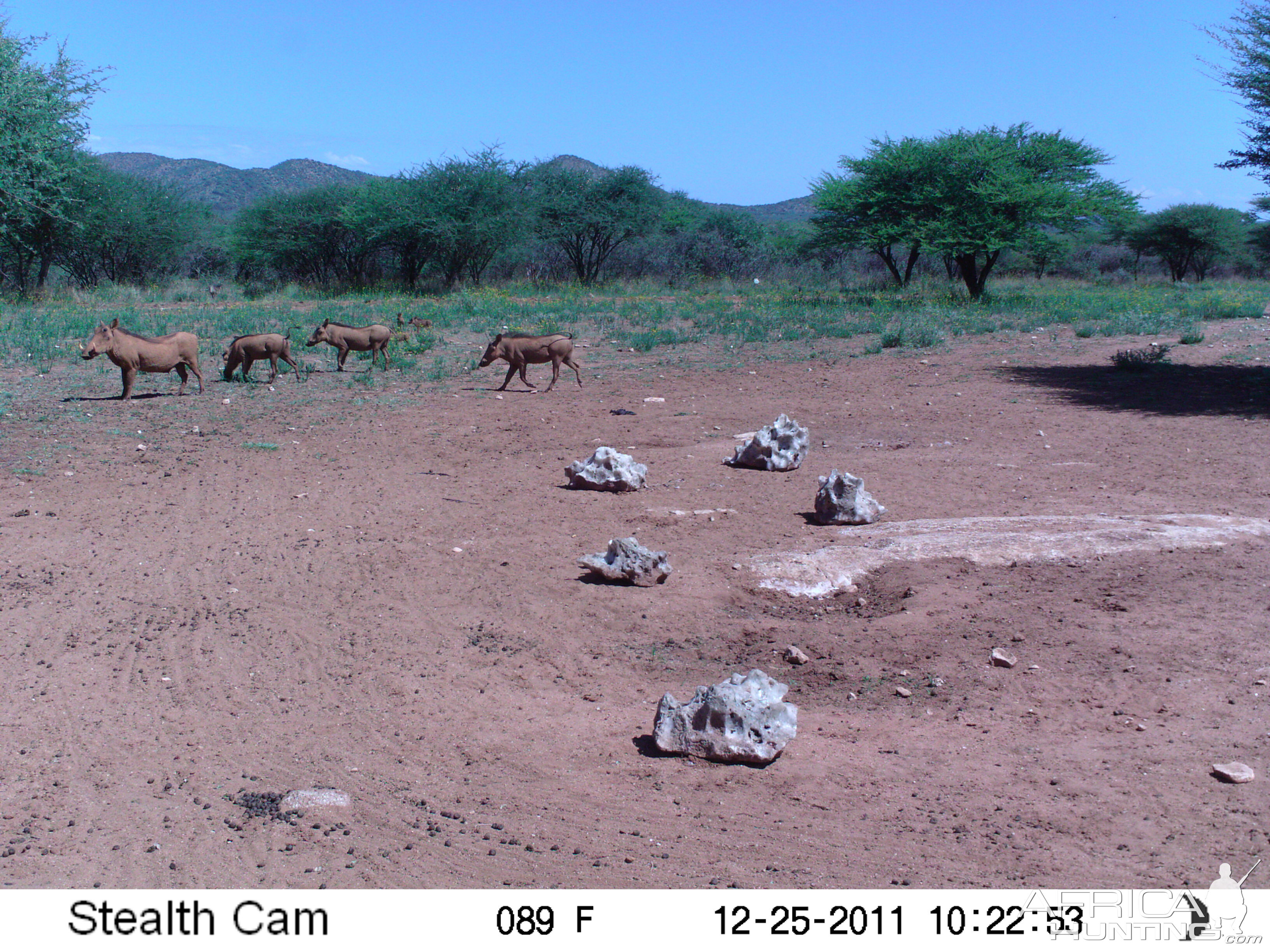 Trail Camera Namibia