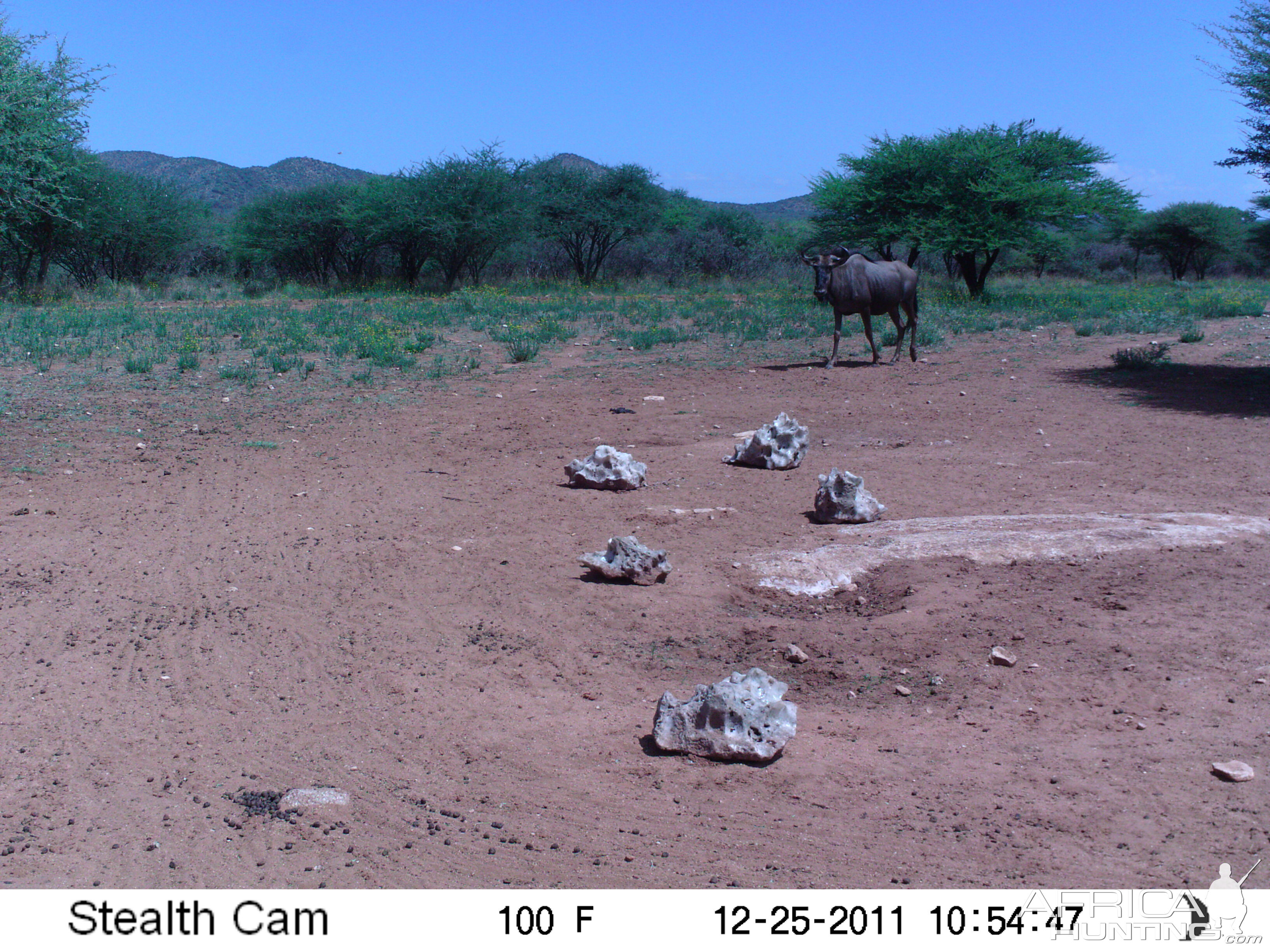 Trail Camera Namibia