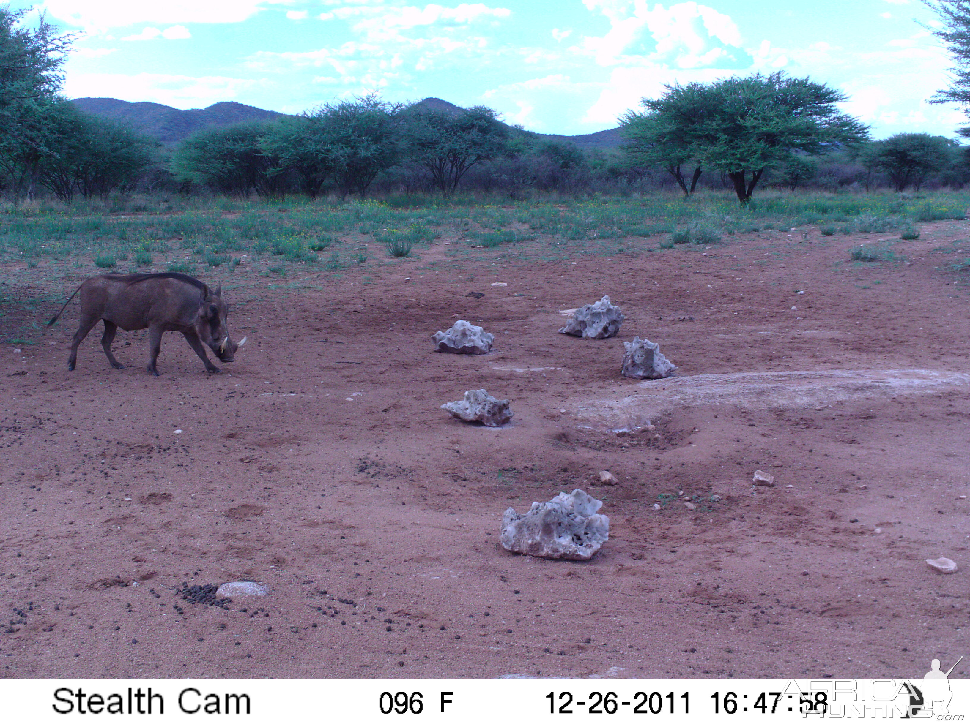 Trail Camera Namibia