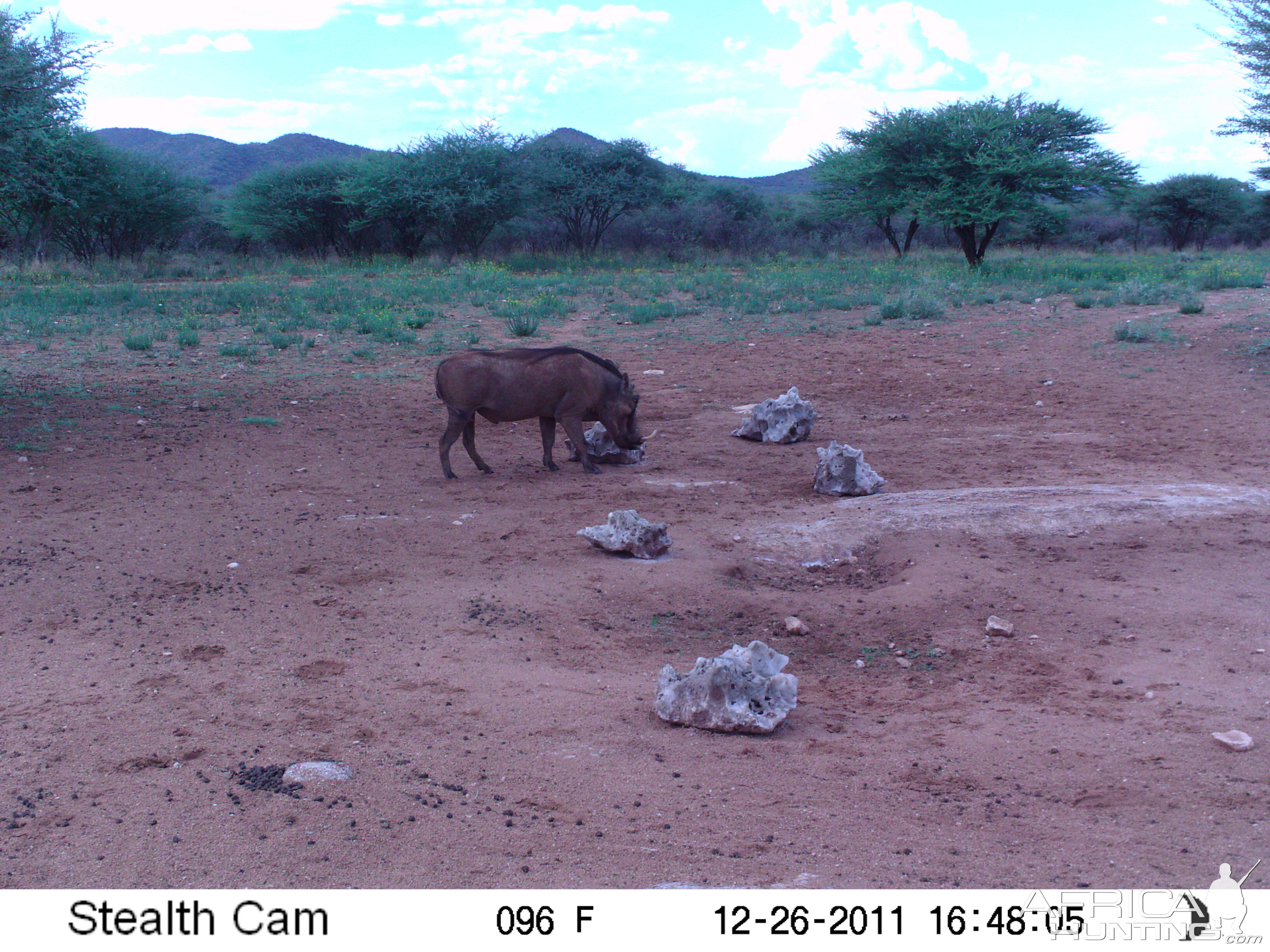 Trail Camera Namibia